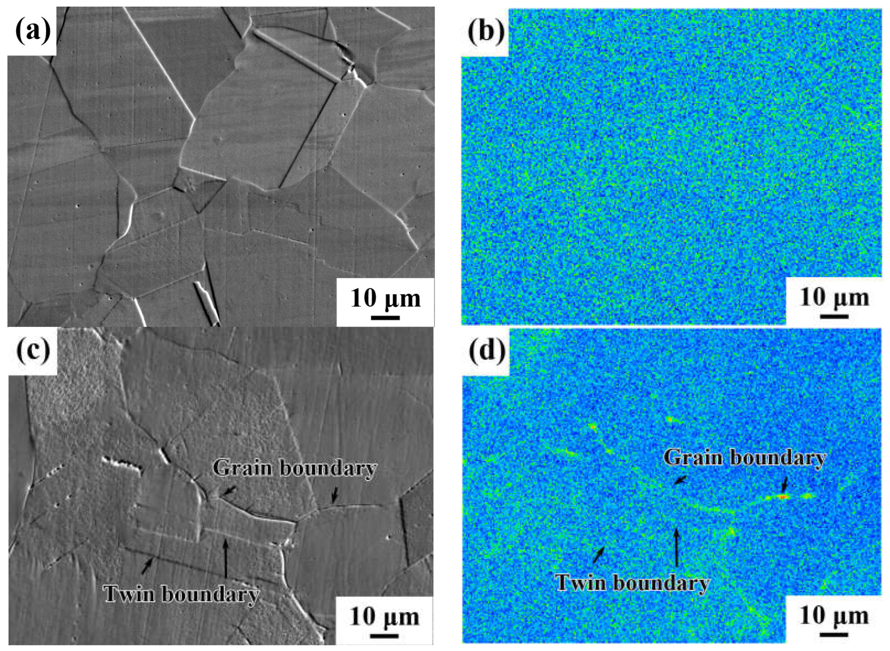 Coatings 13 01513 g016