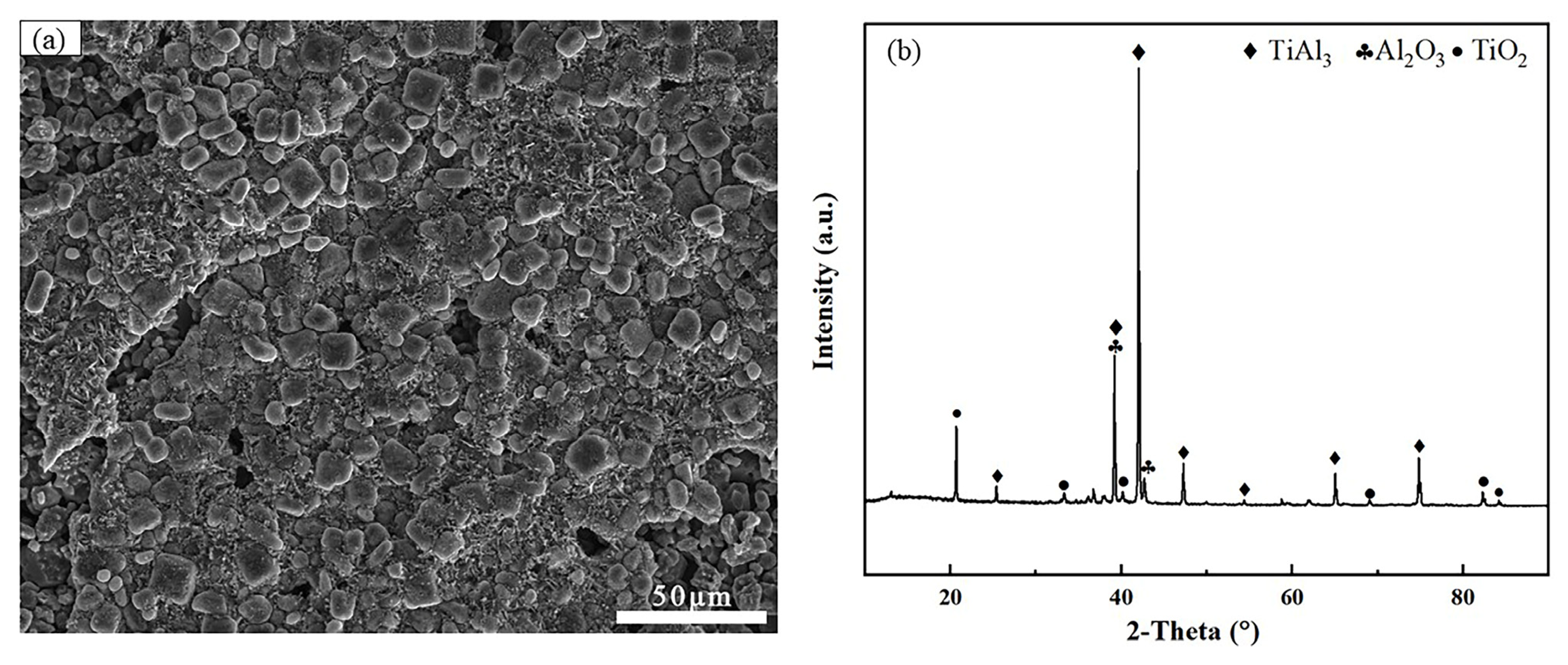 Coatings 13 01516 g006 Coatings 13 01516 g006