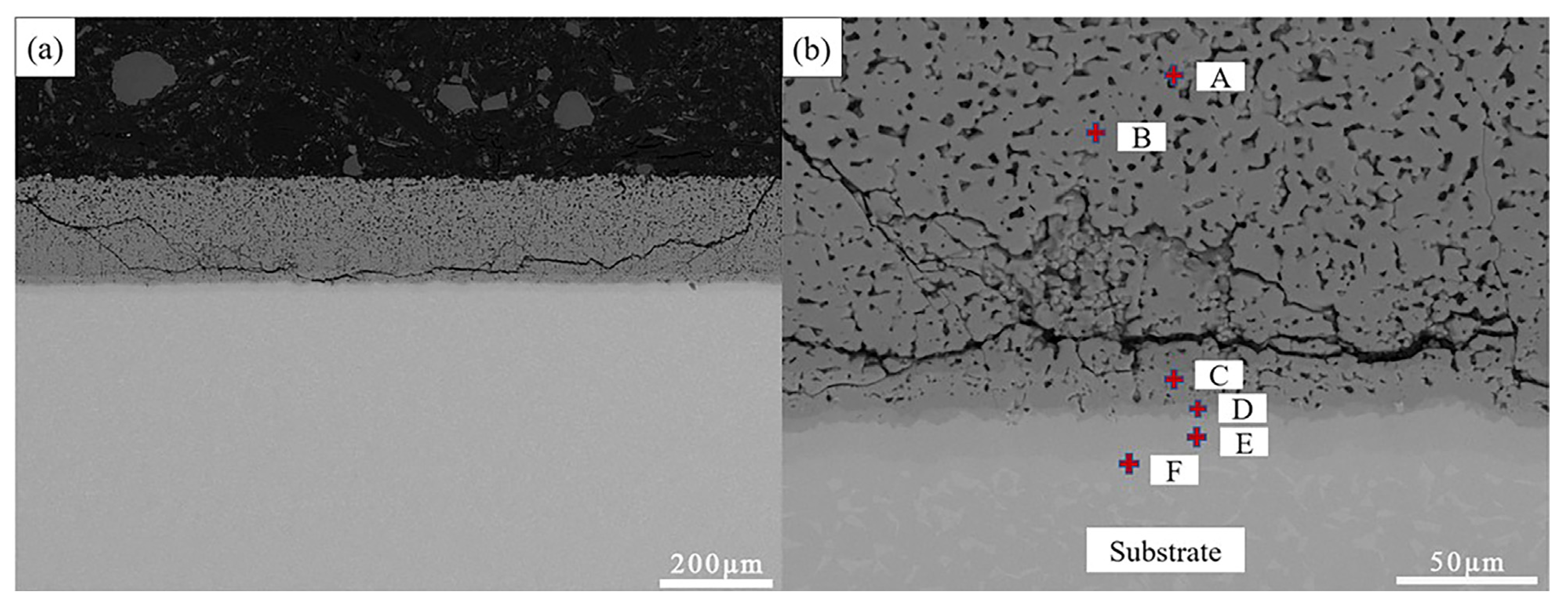 Coatings 13 01516 g007 Coatings 13 01516 g007