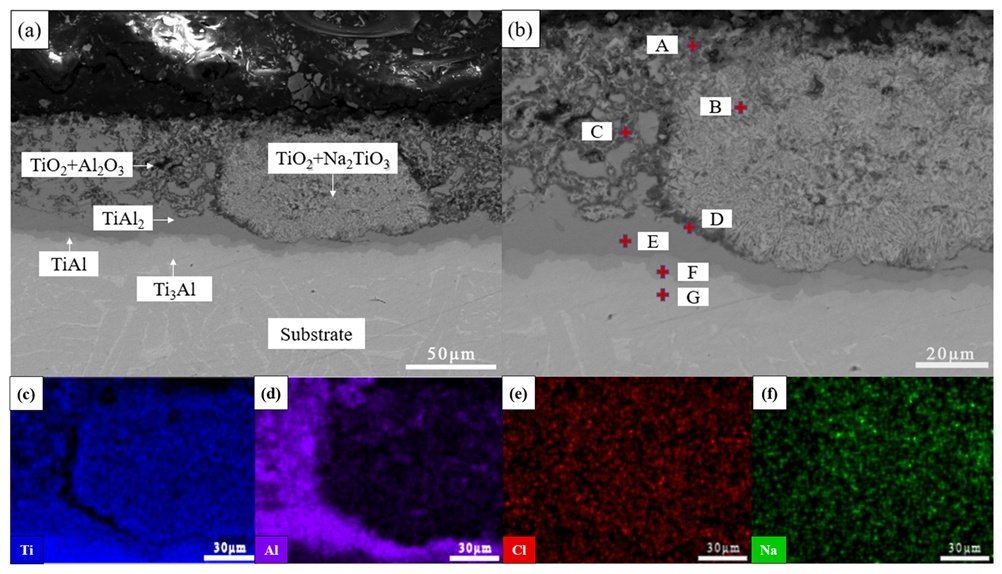 Coatings 13 01516 g010 Coatings 13 01516 g010