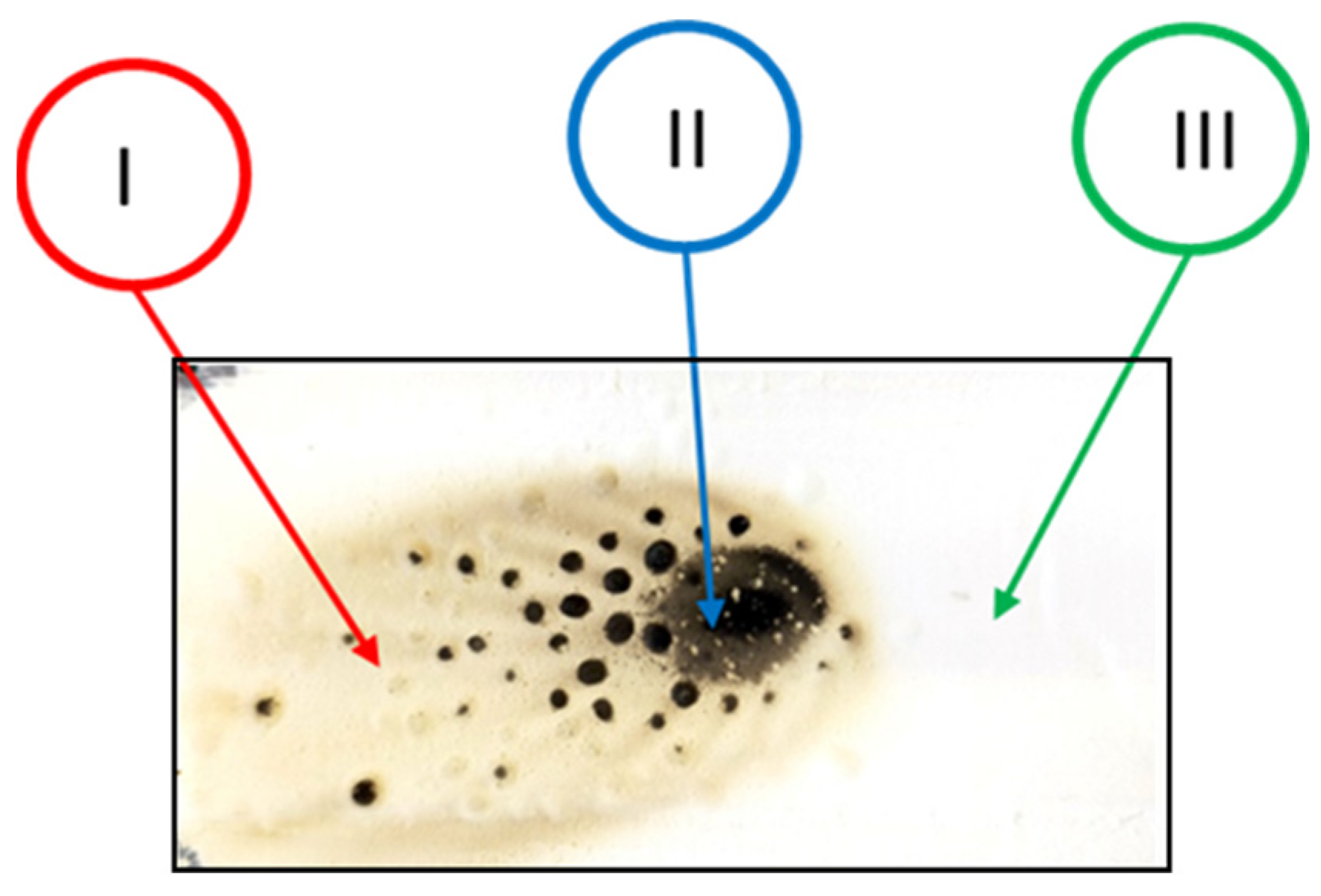 Coatings 13 01517 g006