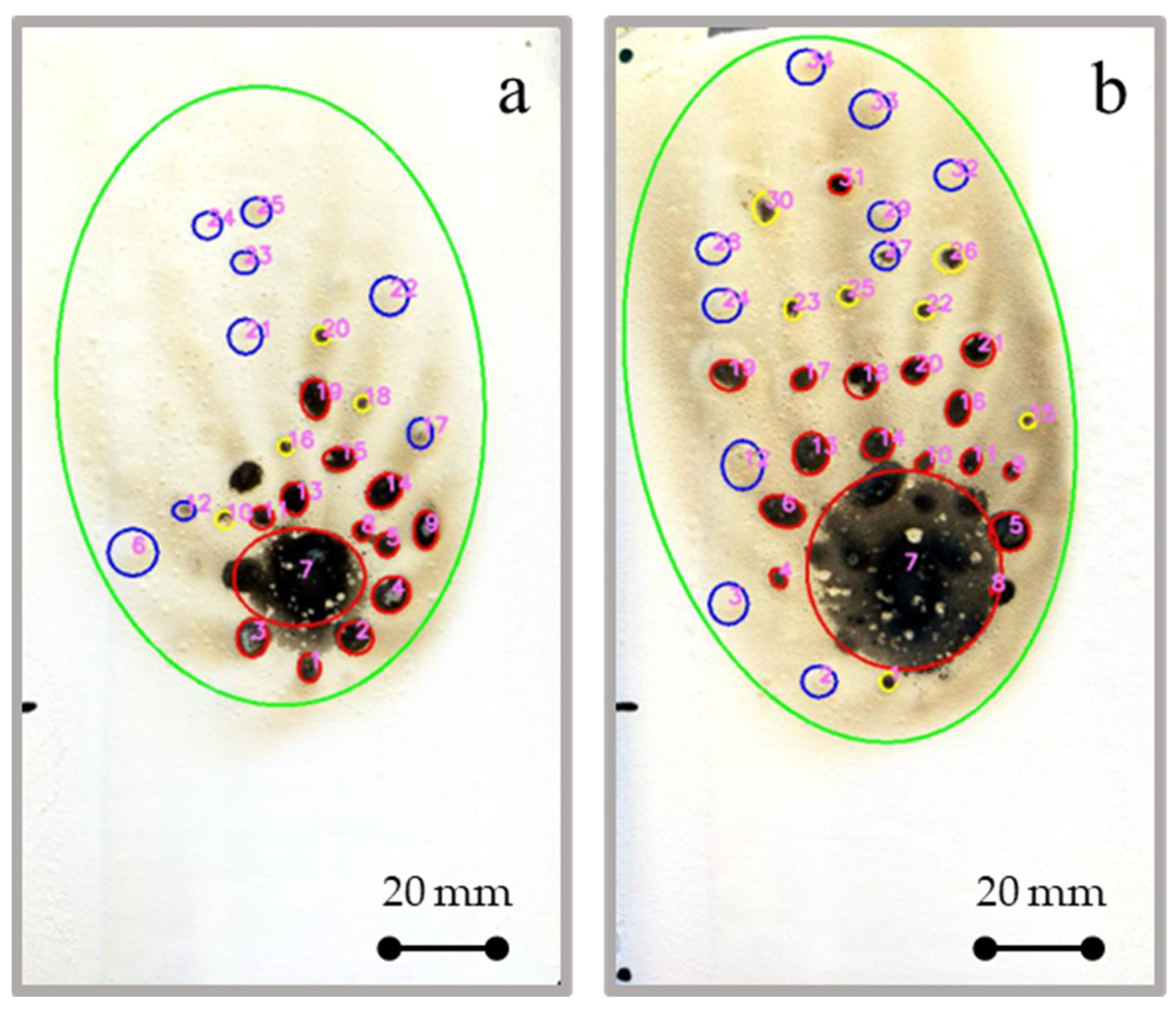 Coatings 13 01517 g008