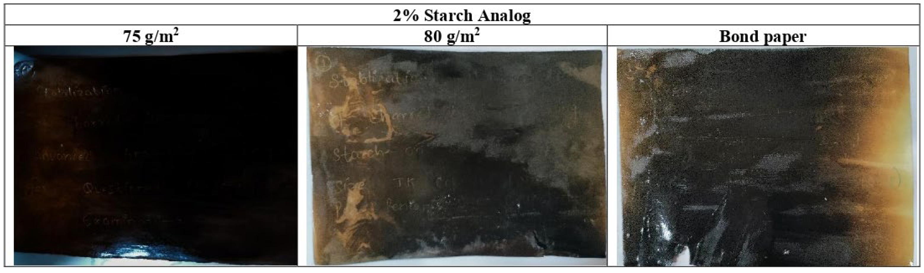 Coatings 13 01521 g004