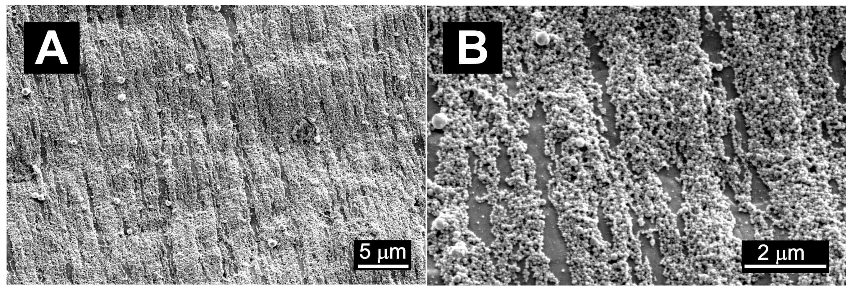Coatings 13 01523 g002