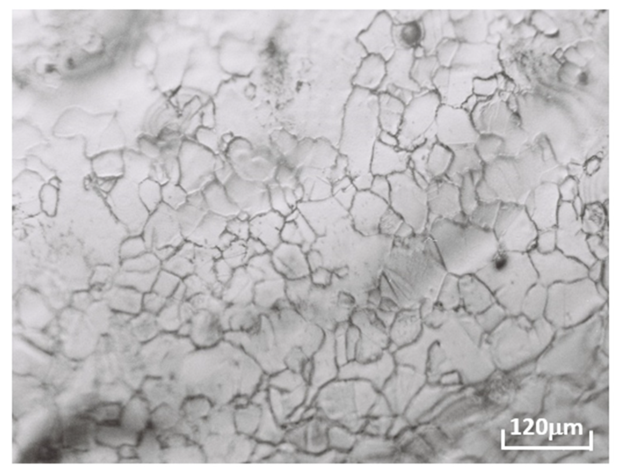 Coatings 13 01534 g002