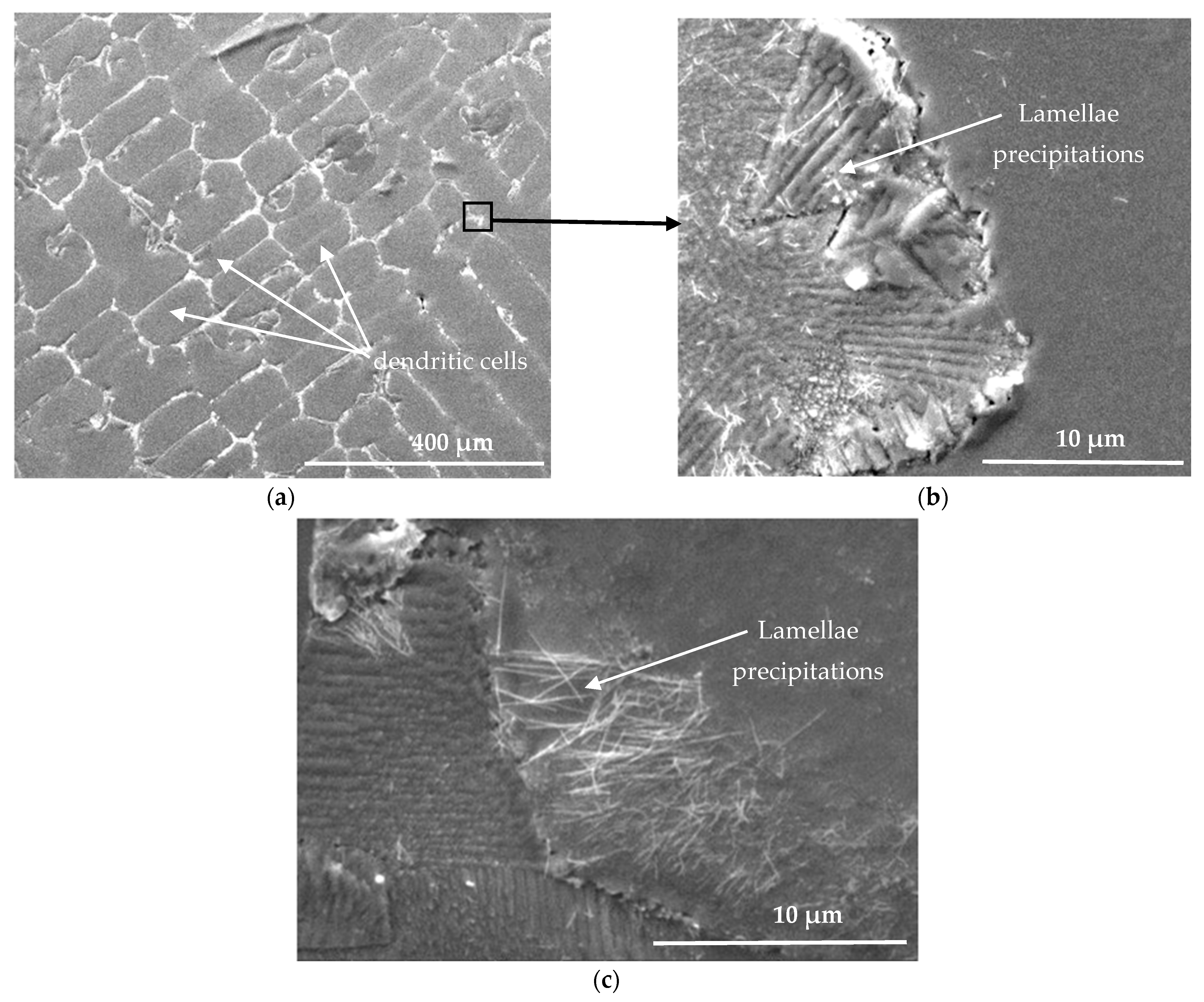 Coatings 13 01534 g006