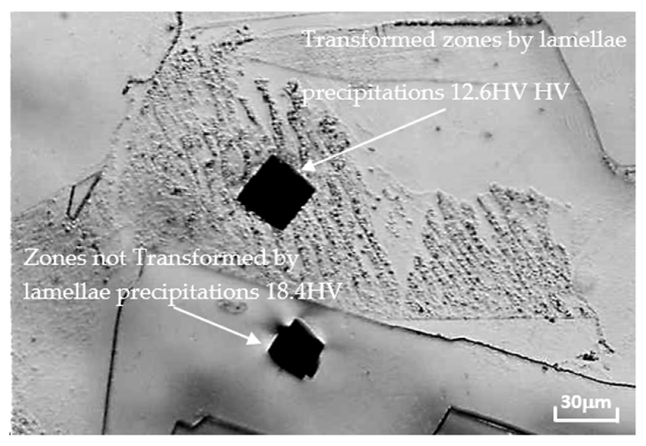 Coatings 13 01534 g007
