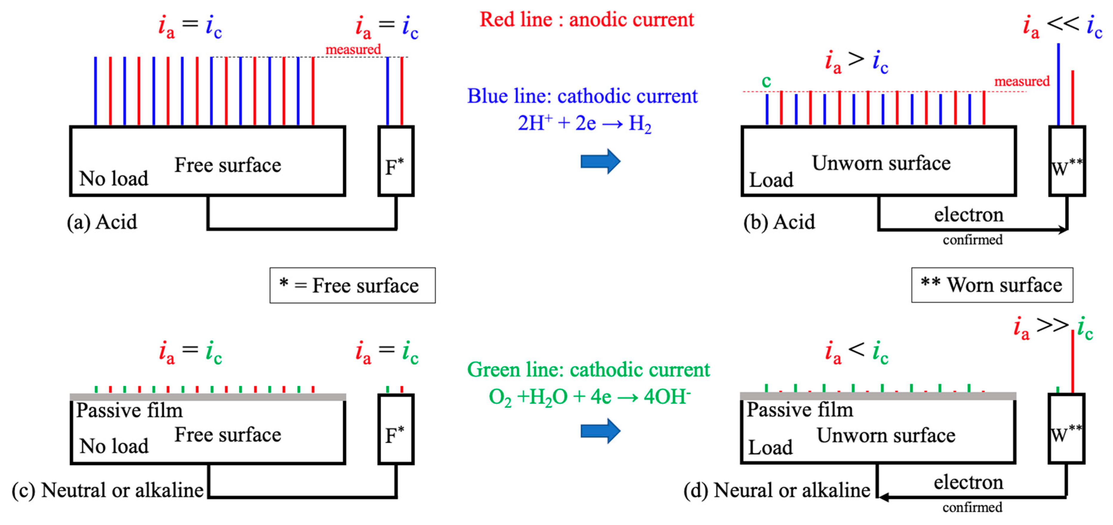 Coatings 13 01539 g015
