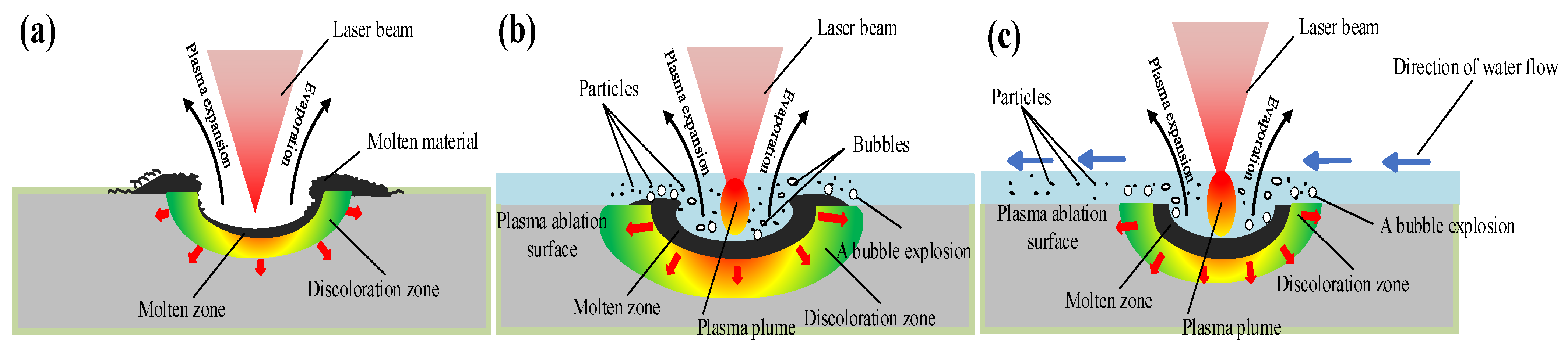 Coatings 13 01541 g017