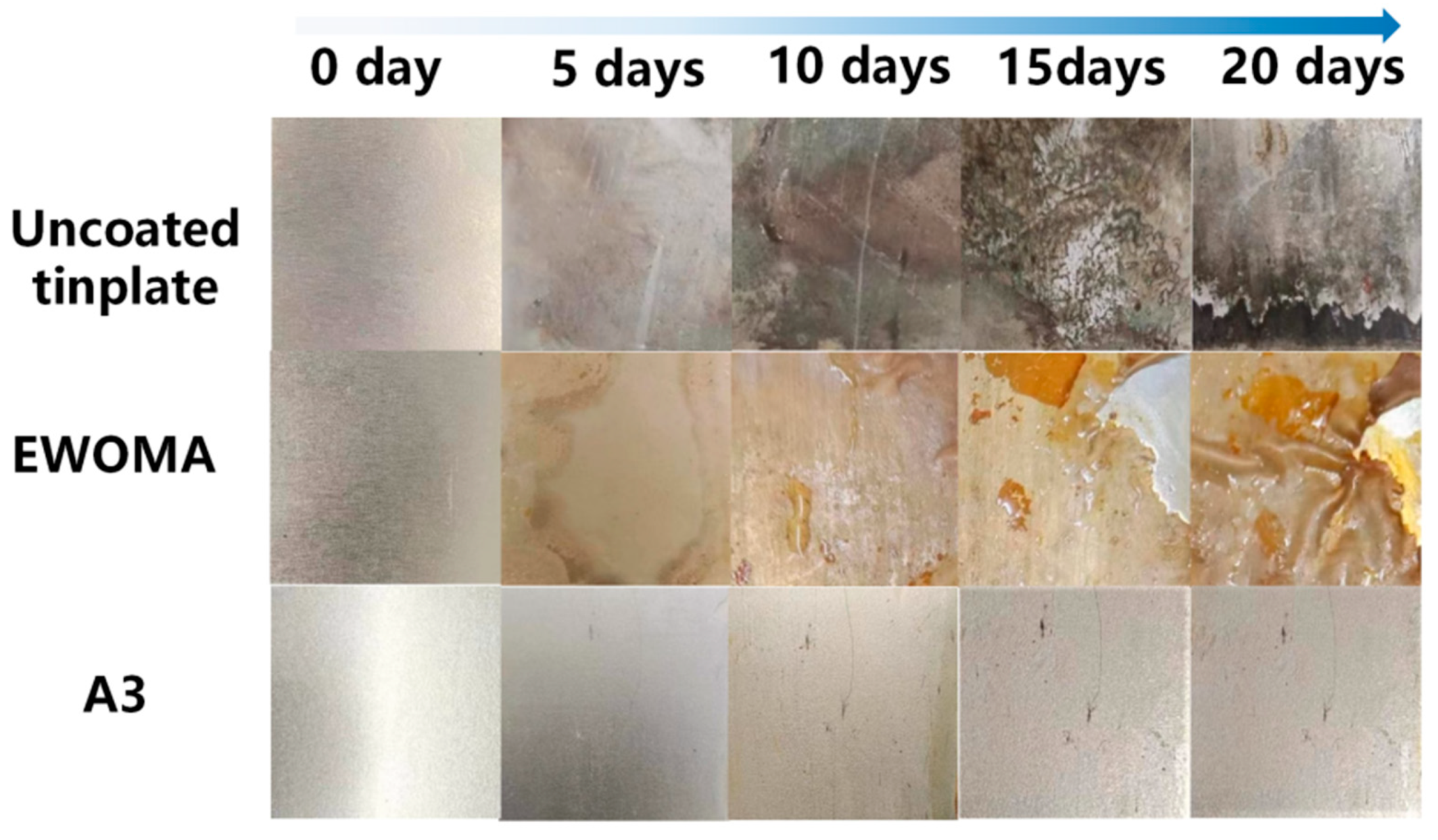 Coatings 13 01553 g007