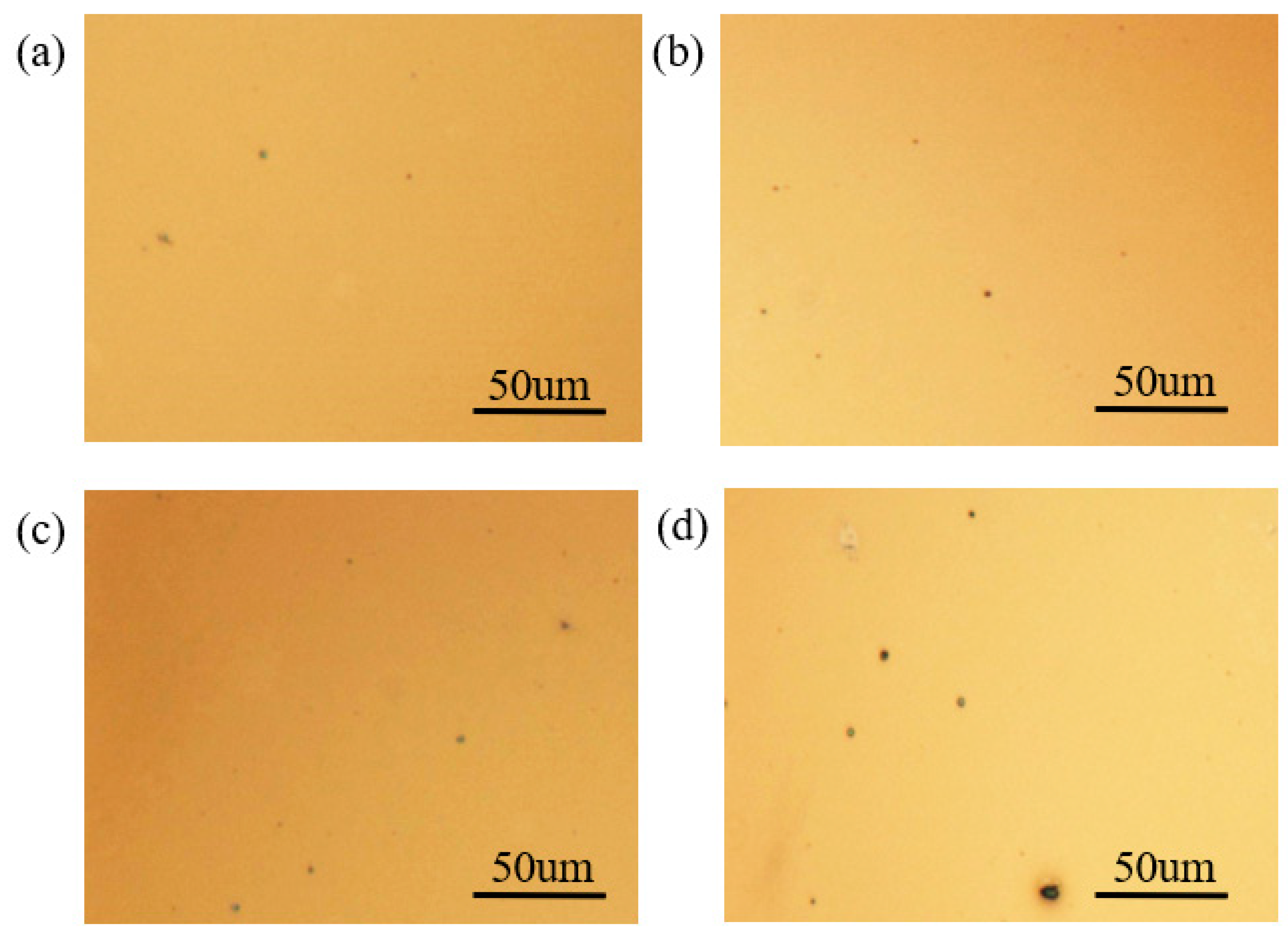 Coatings 13 01561 g002 Coatings 13 01561 g002
