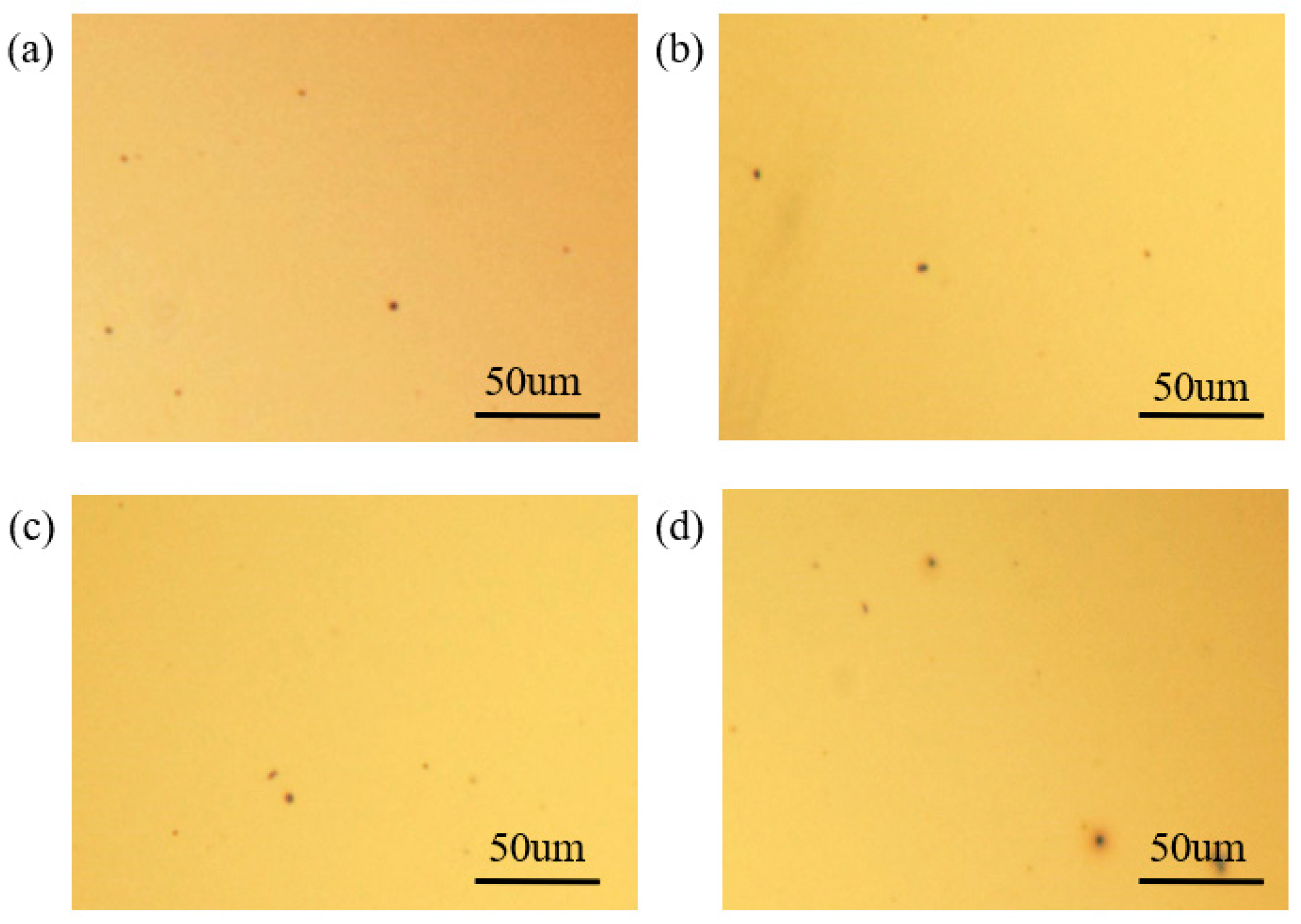 Coatings 13 01561 g006 Coatings 13 01561 g006