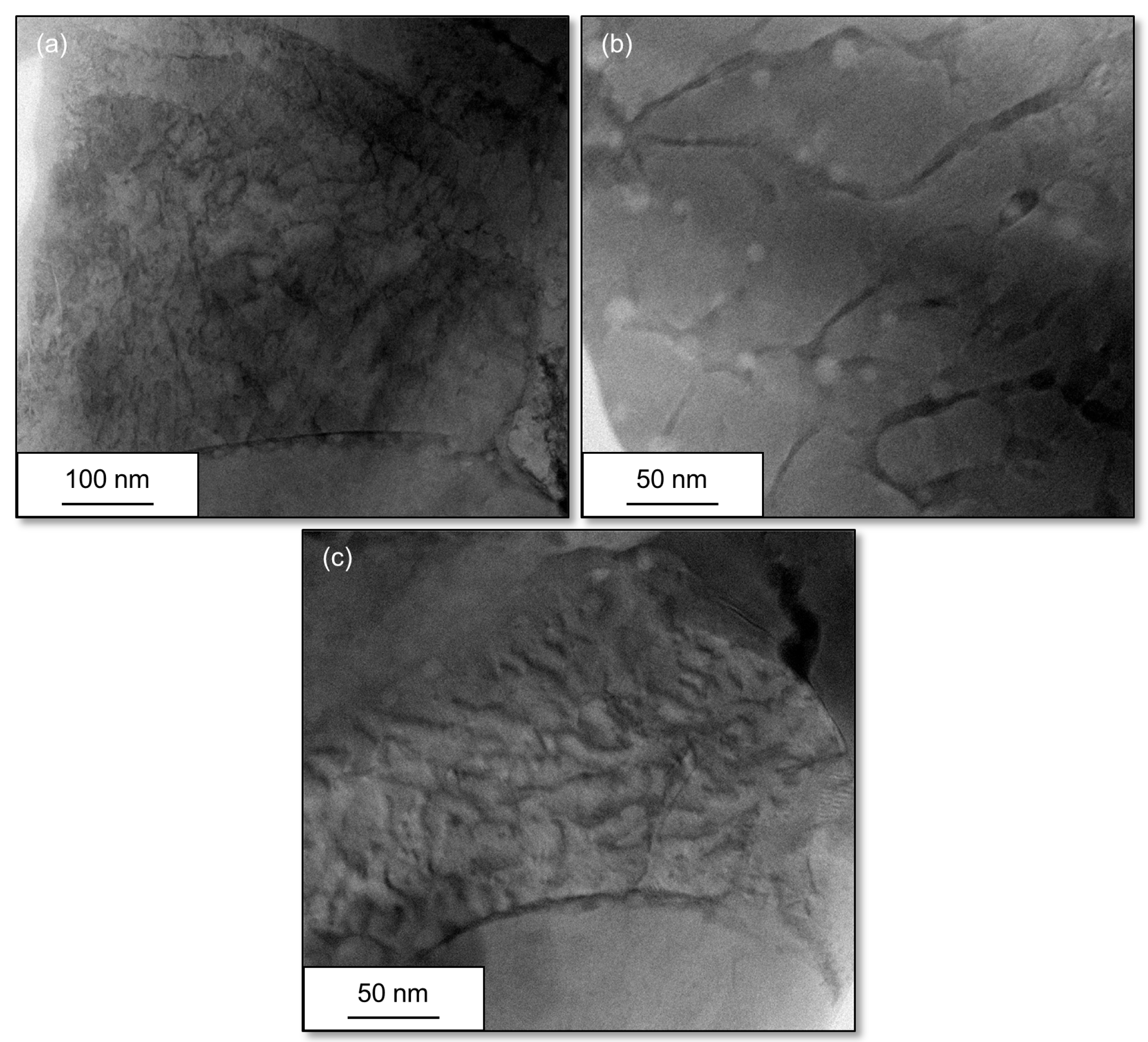 Coatings 13 01563 g006