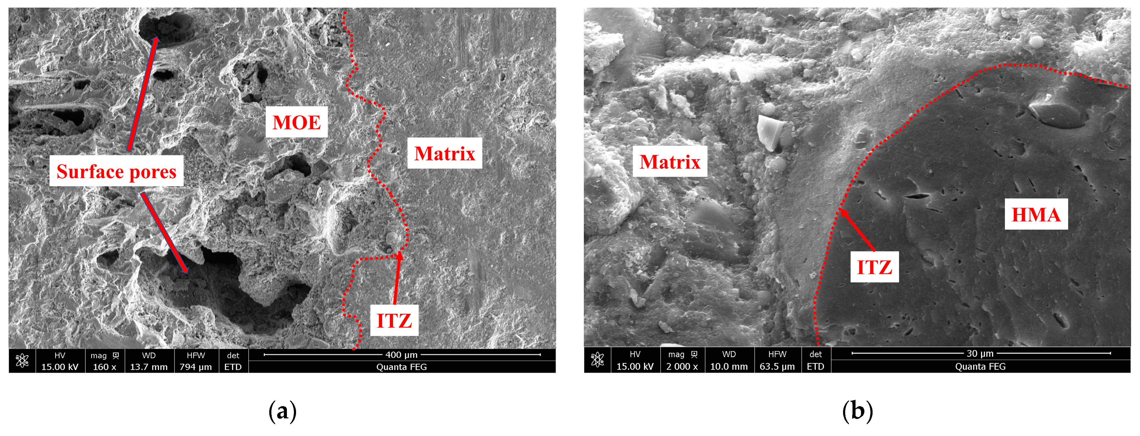 Coatings 13 01571 g009