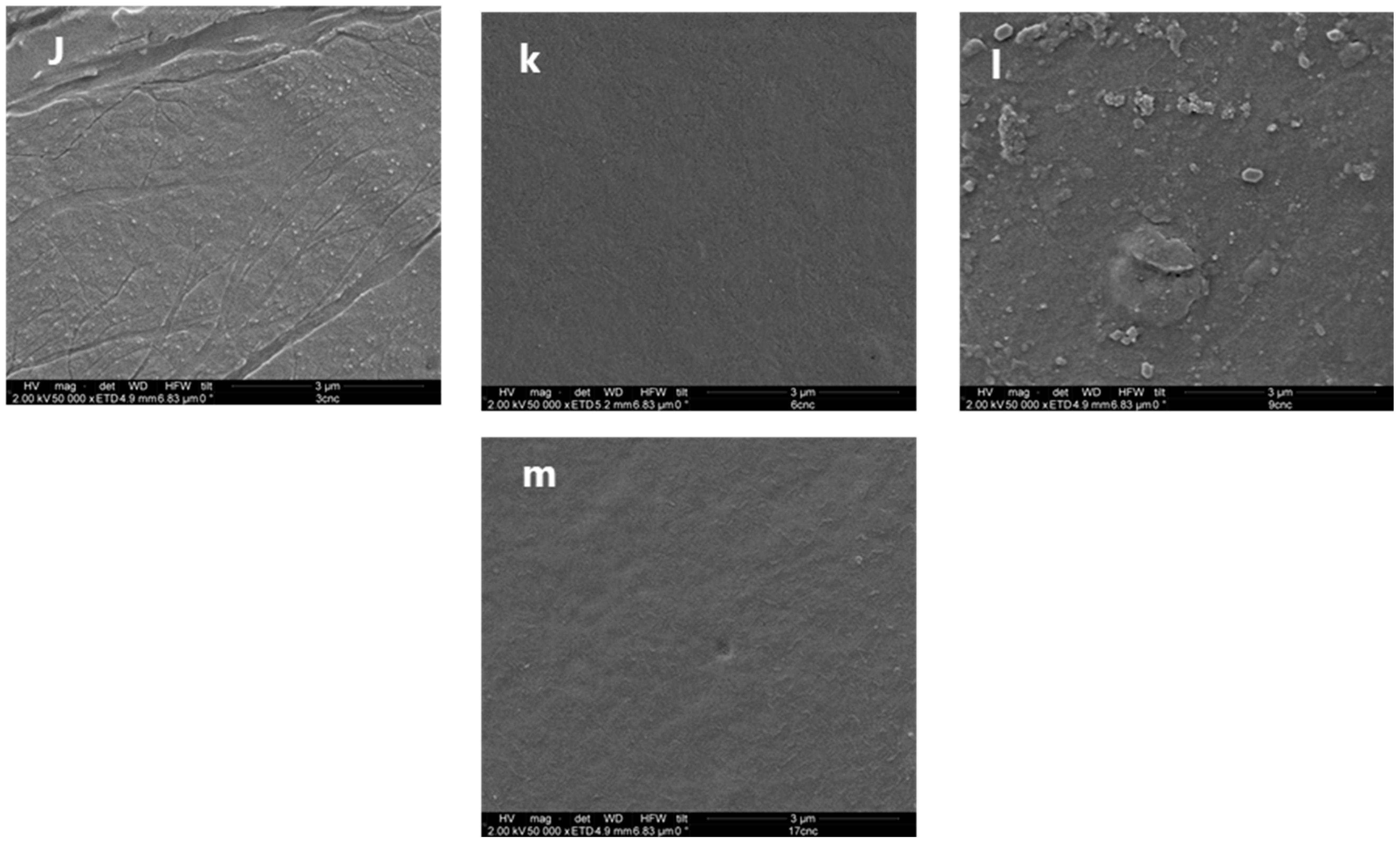 Coatings 13 01573 g005b Coatings 13 01573 g005b