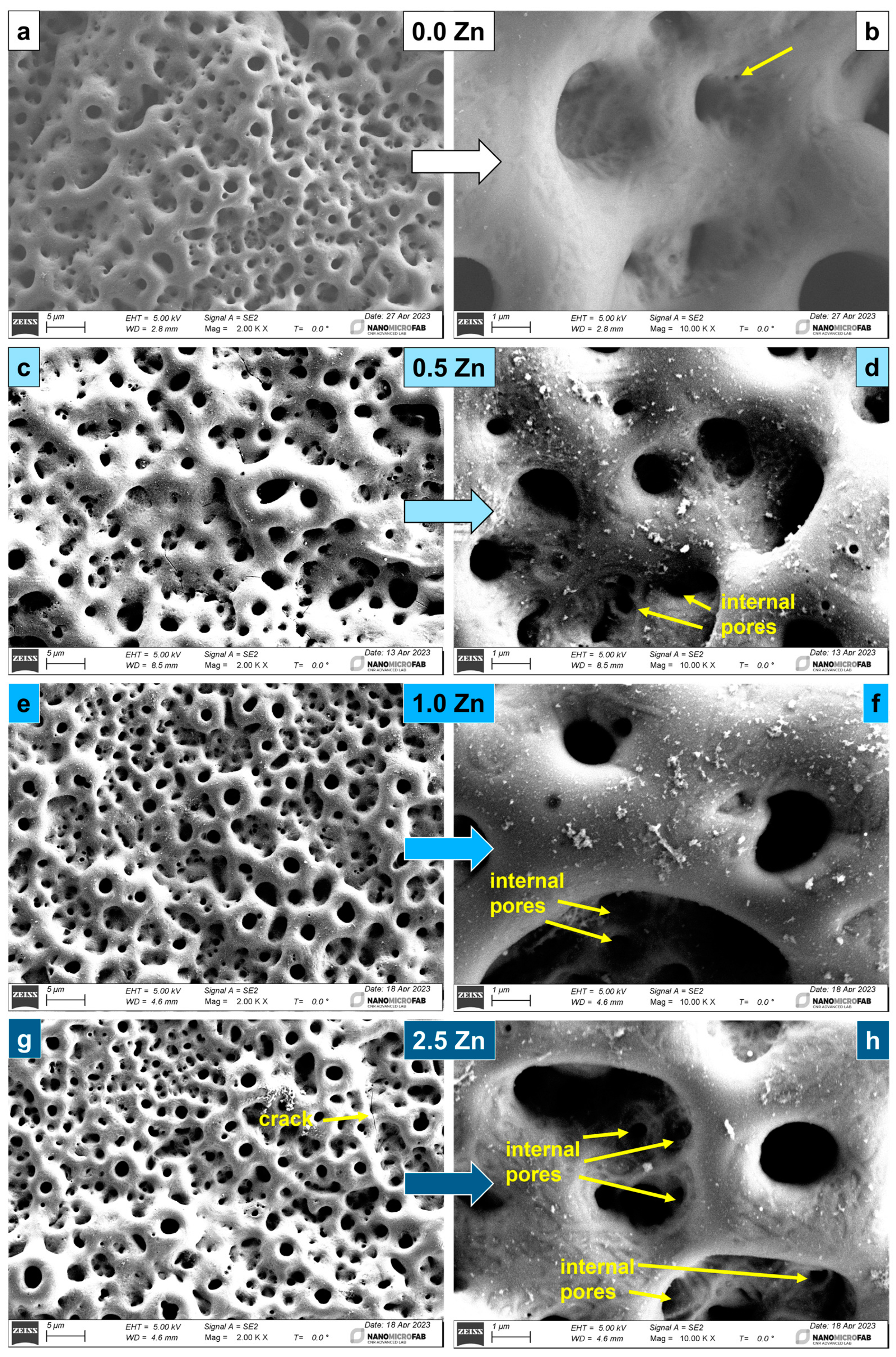 Coatings 13 01577 g001
