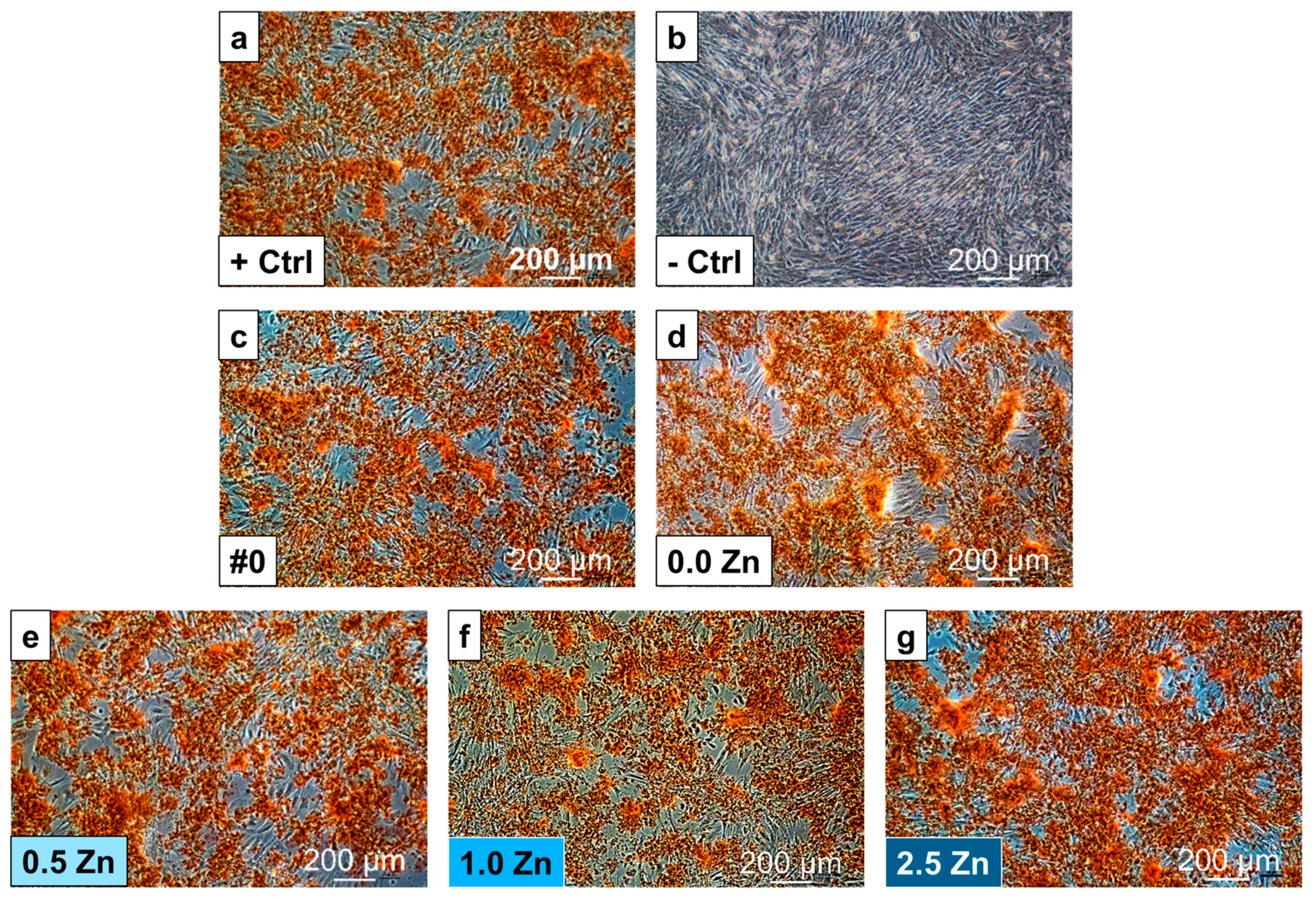 Coatings 13 01577 g016