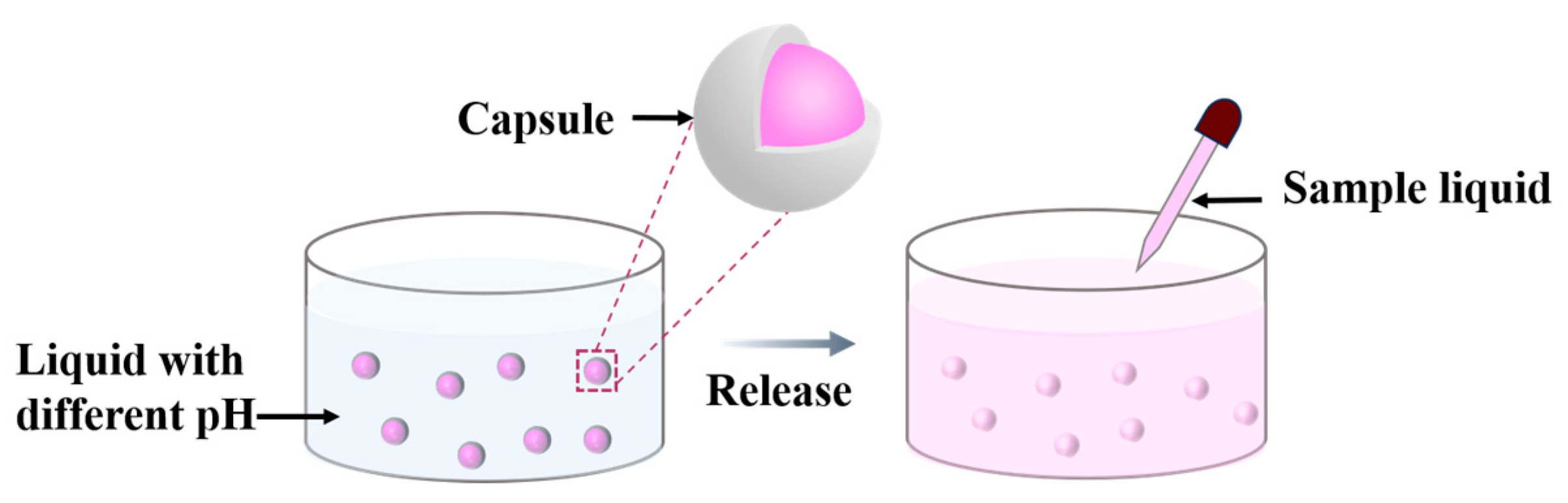 Coatings 13 01582 g002