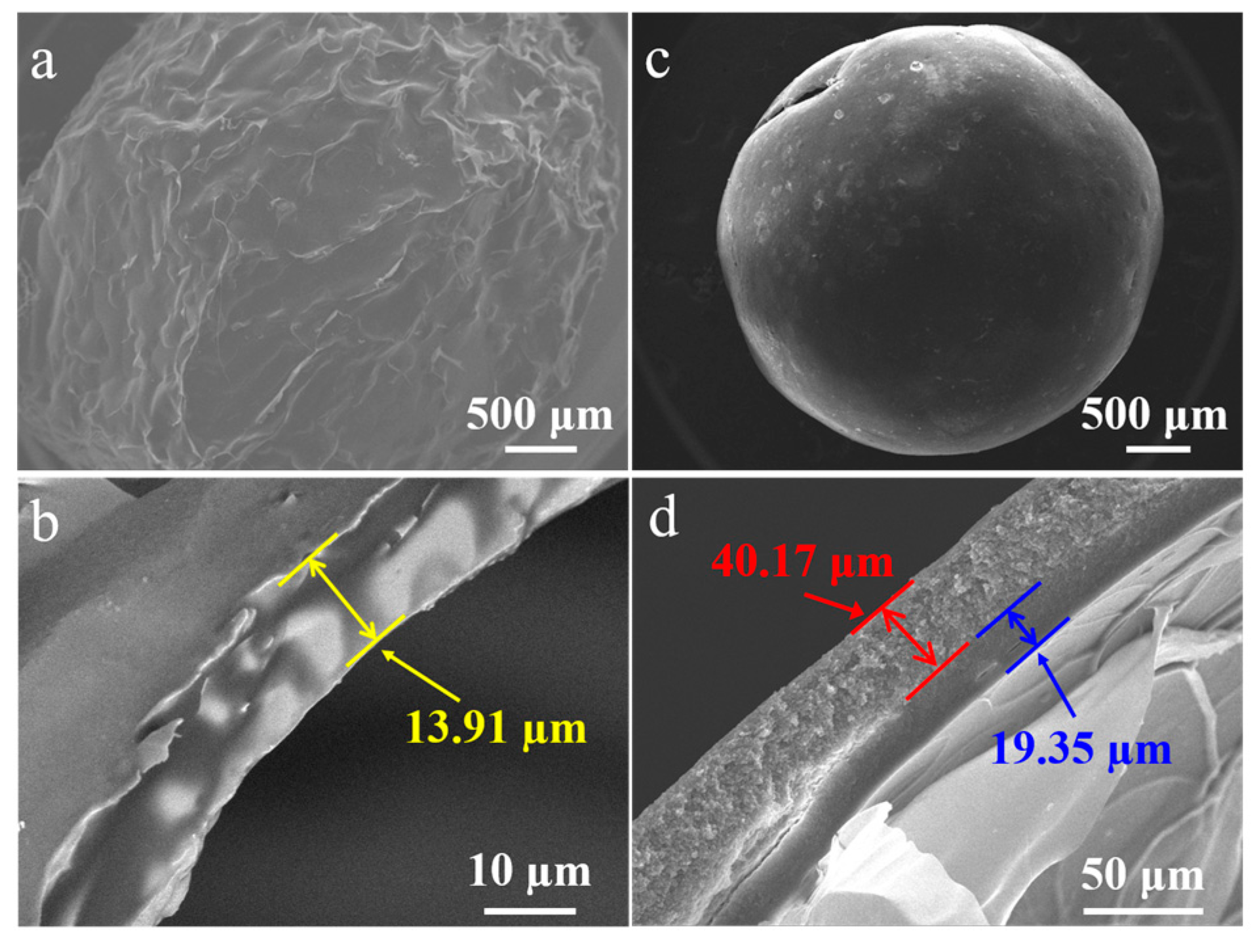 Coatings 13 01582 g003