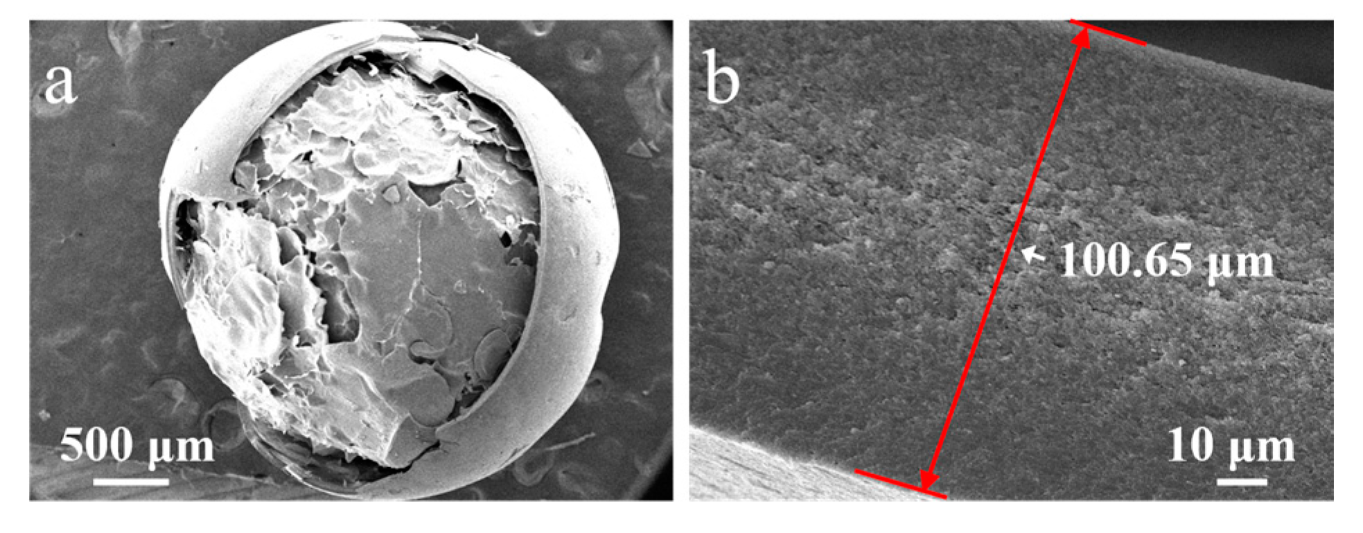 Coatings 13 01582 g006