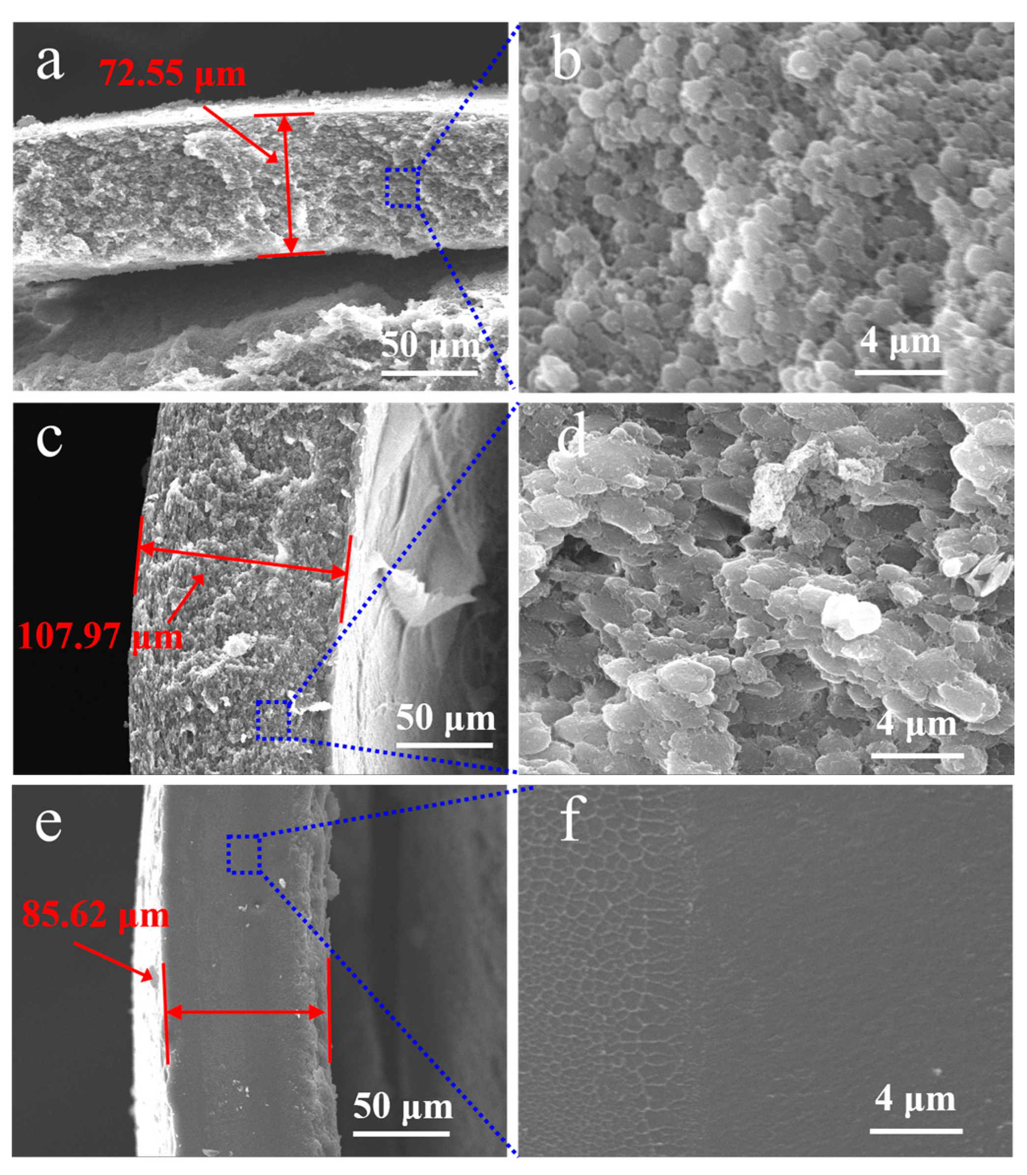 Coatings 13 01582 g009