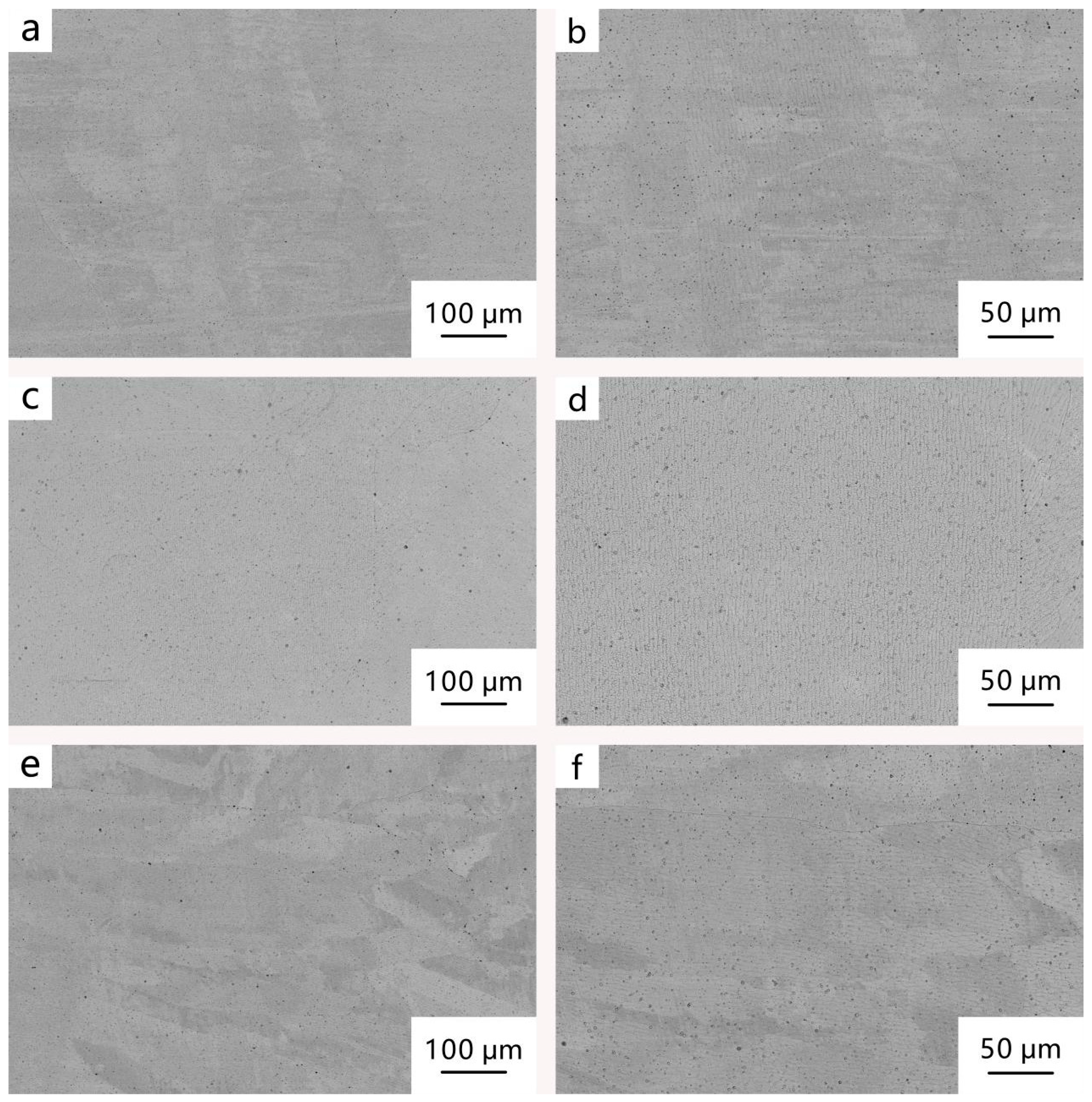 Coatings 13 01583 g006 Coatings 13 01583 g006