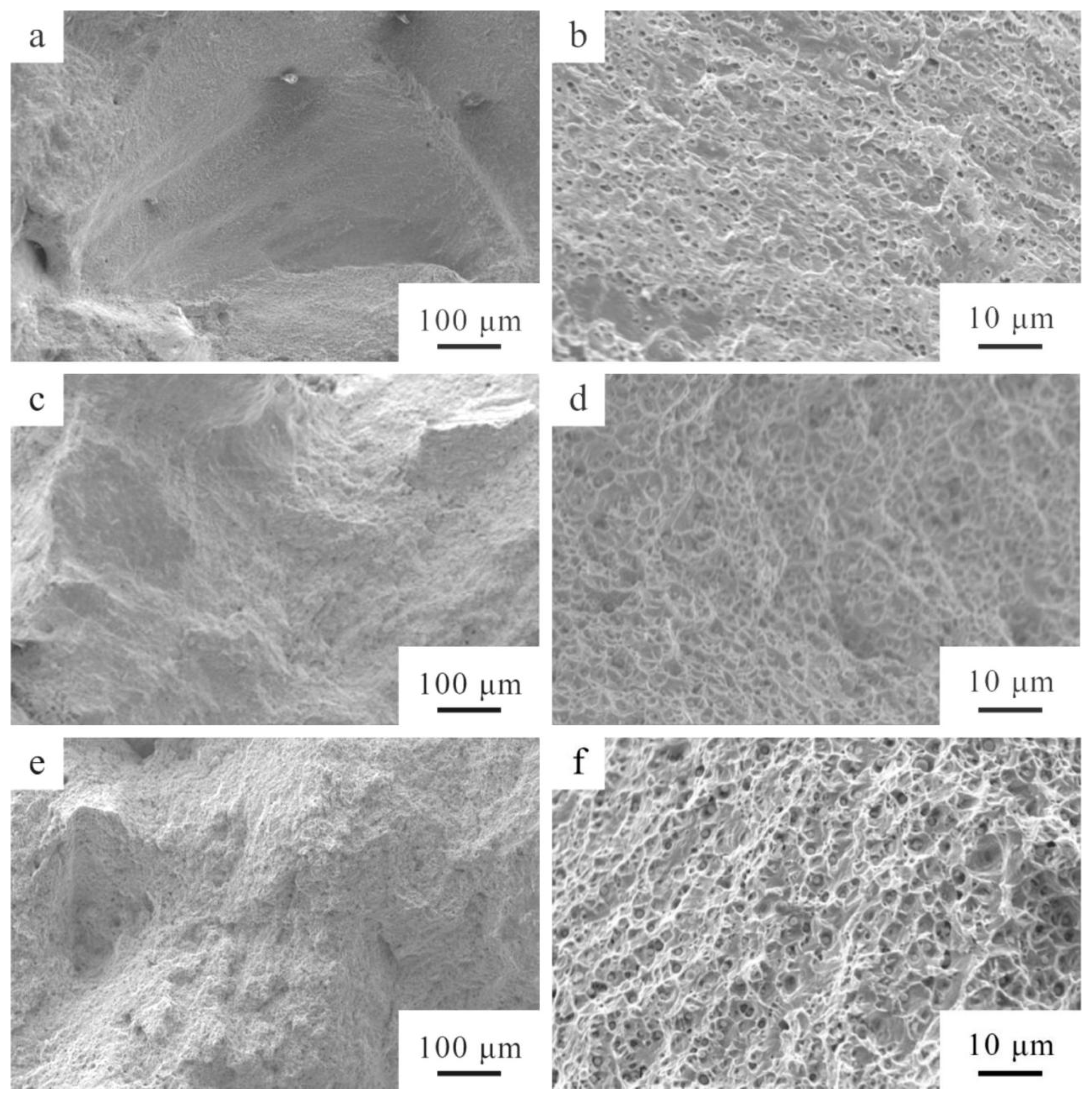 Coatings 13 01583 g013 Coatings 13 01583 g013