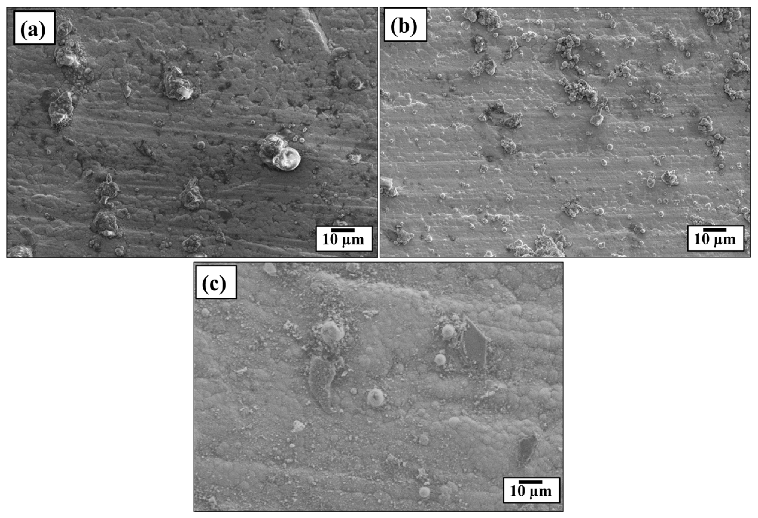 Coatings 13 01585 g002