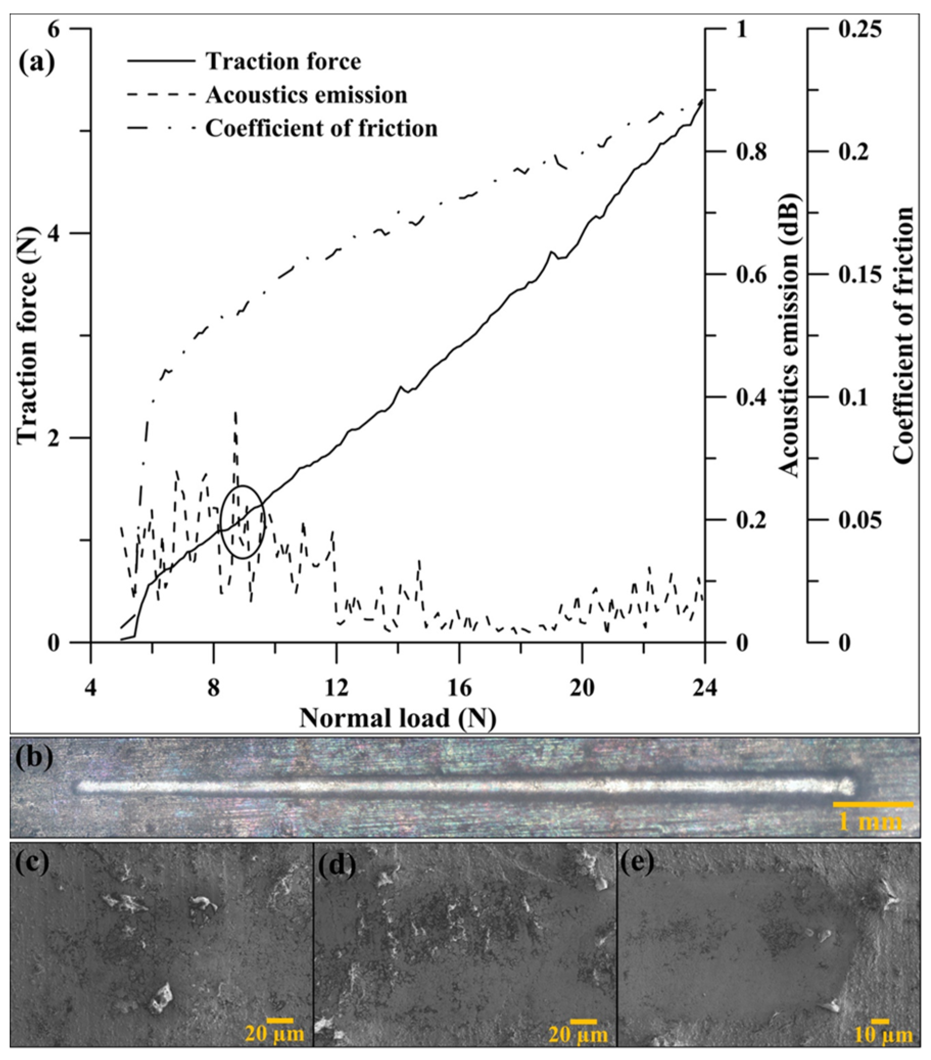 Coatings 13 01585 g009