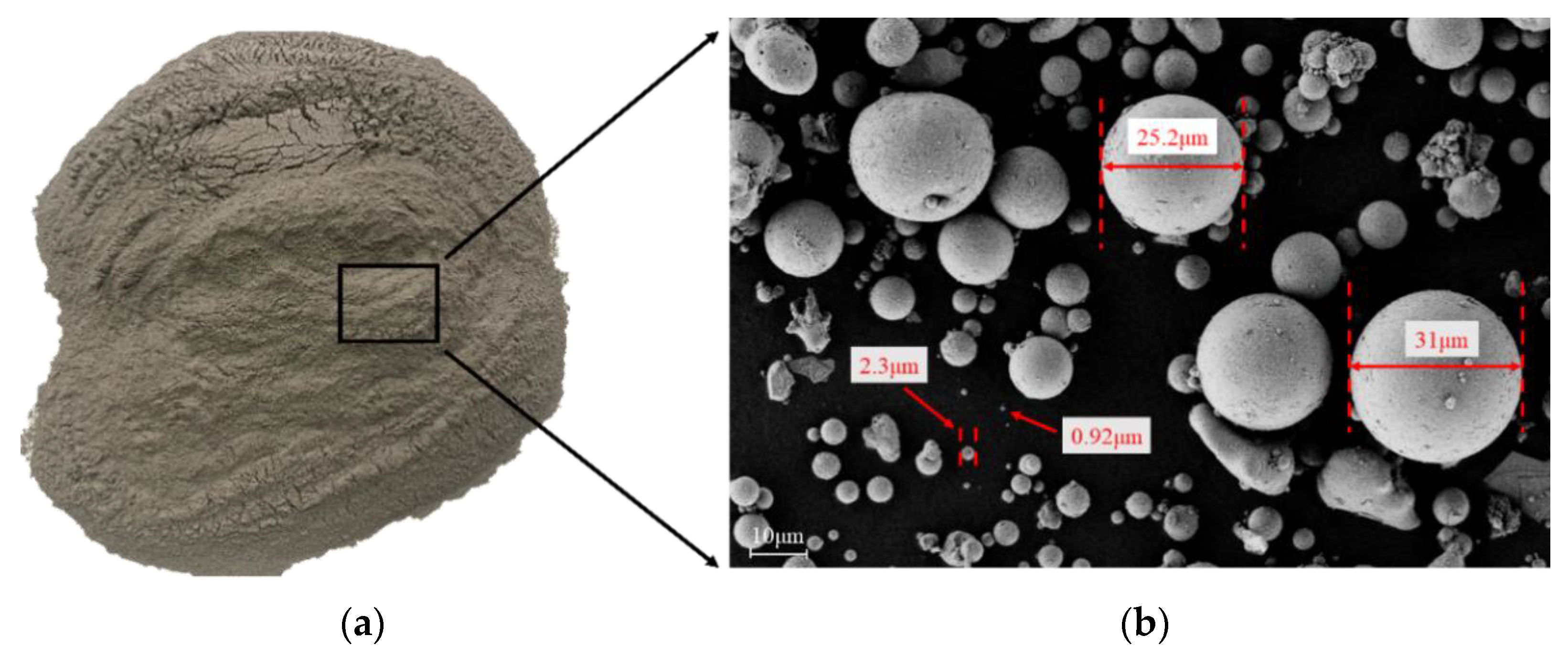 Coatings 13 01591 g001