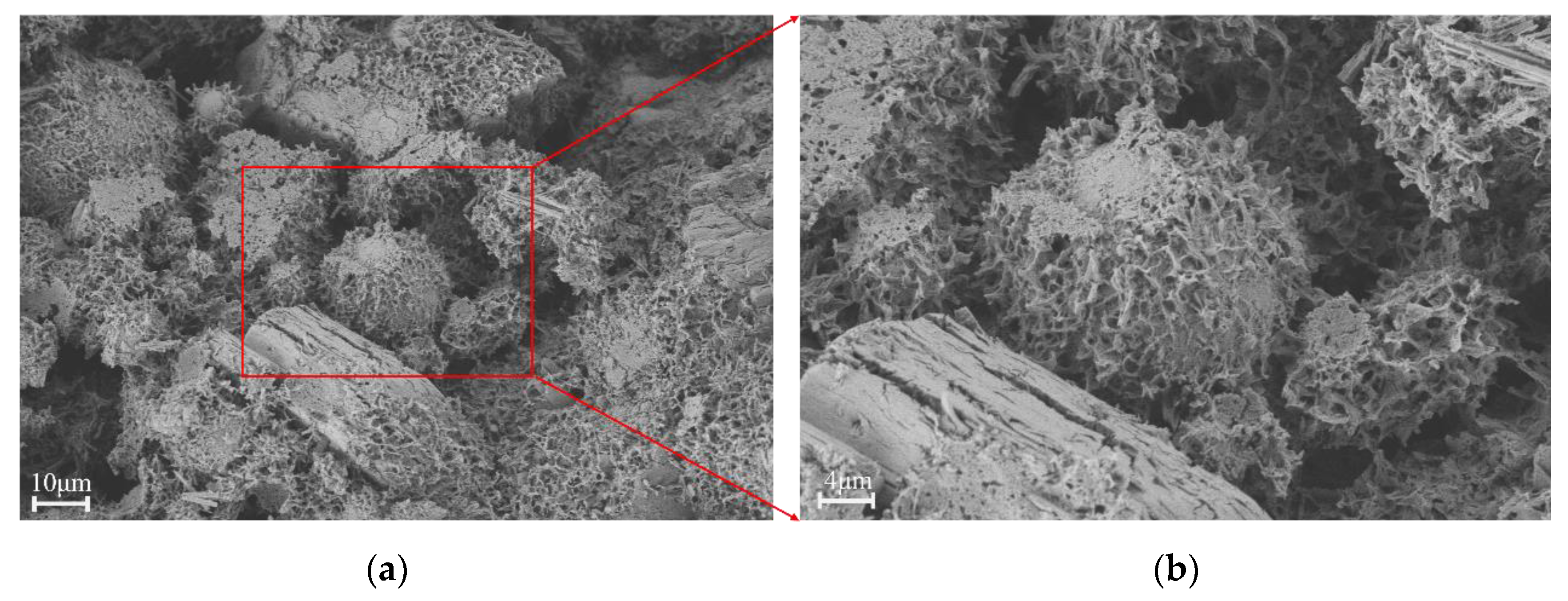Coatings 13 01591 g015