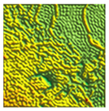 Coatings 13 01592 i007