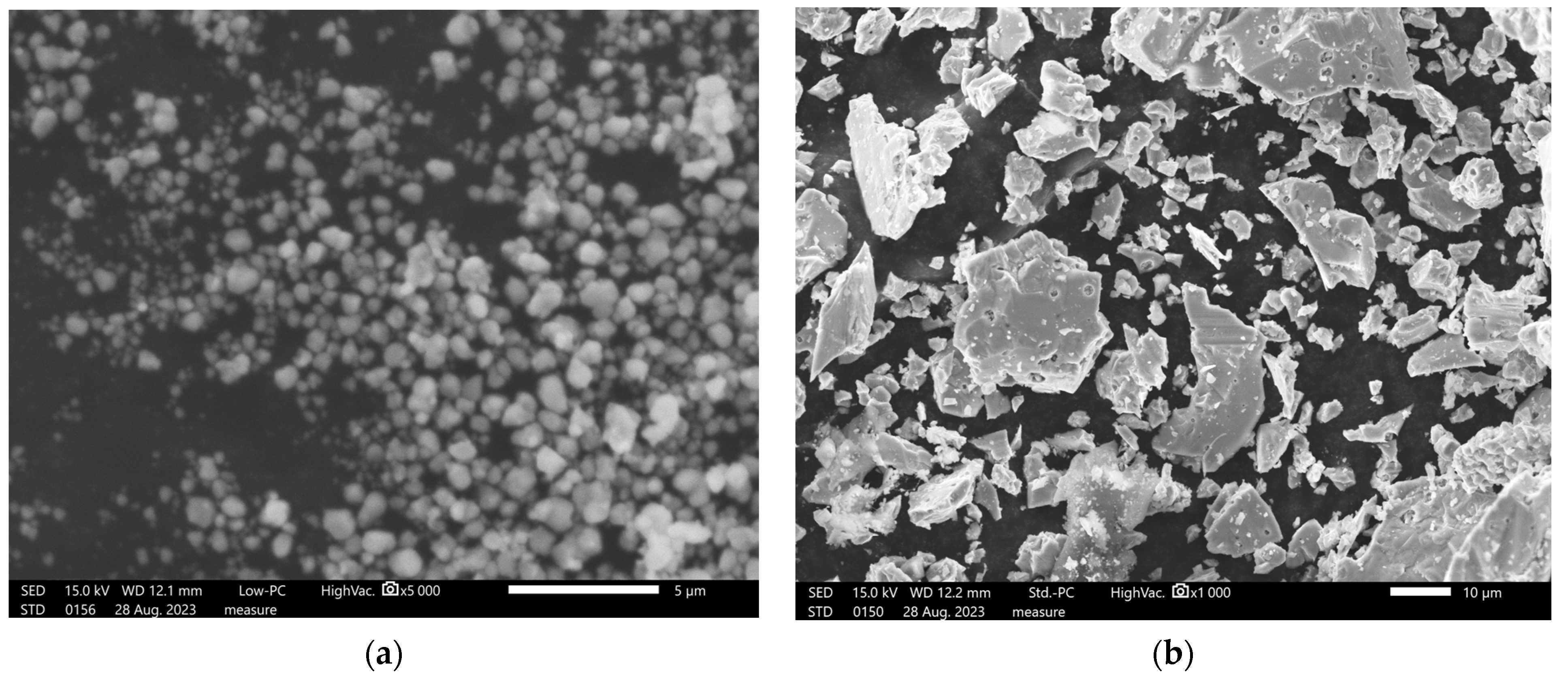 Coatings 13 01599 g003