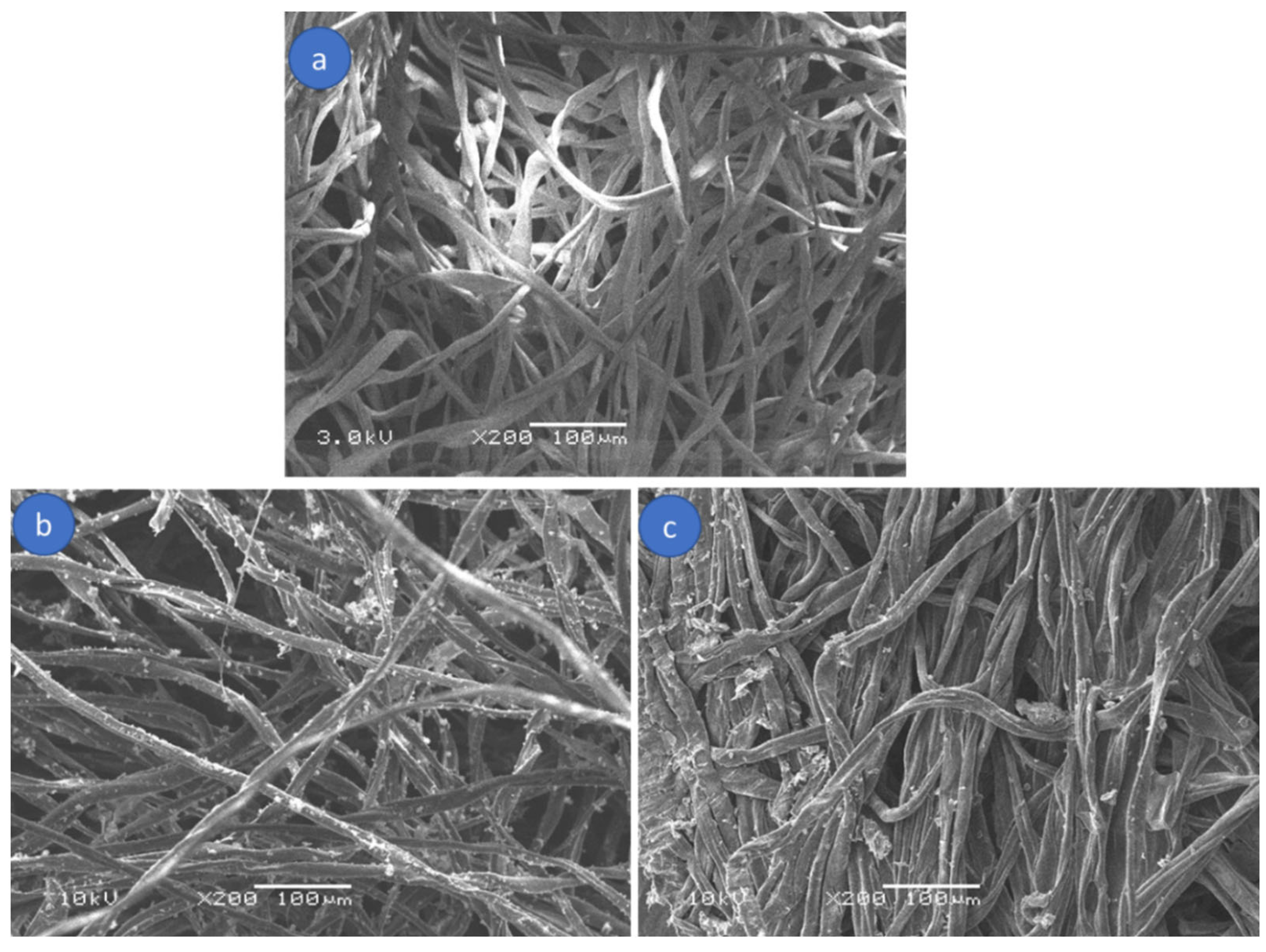 Coatings 13 01601 g004