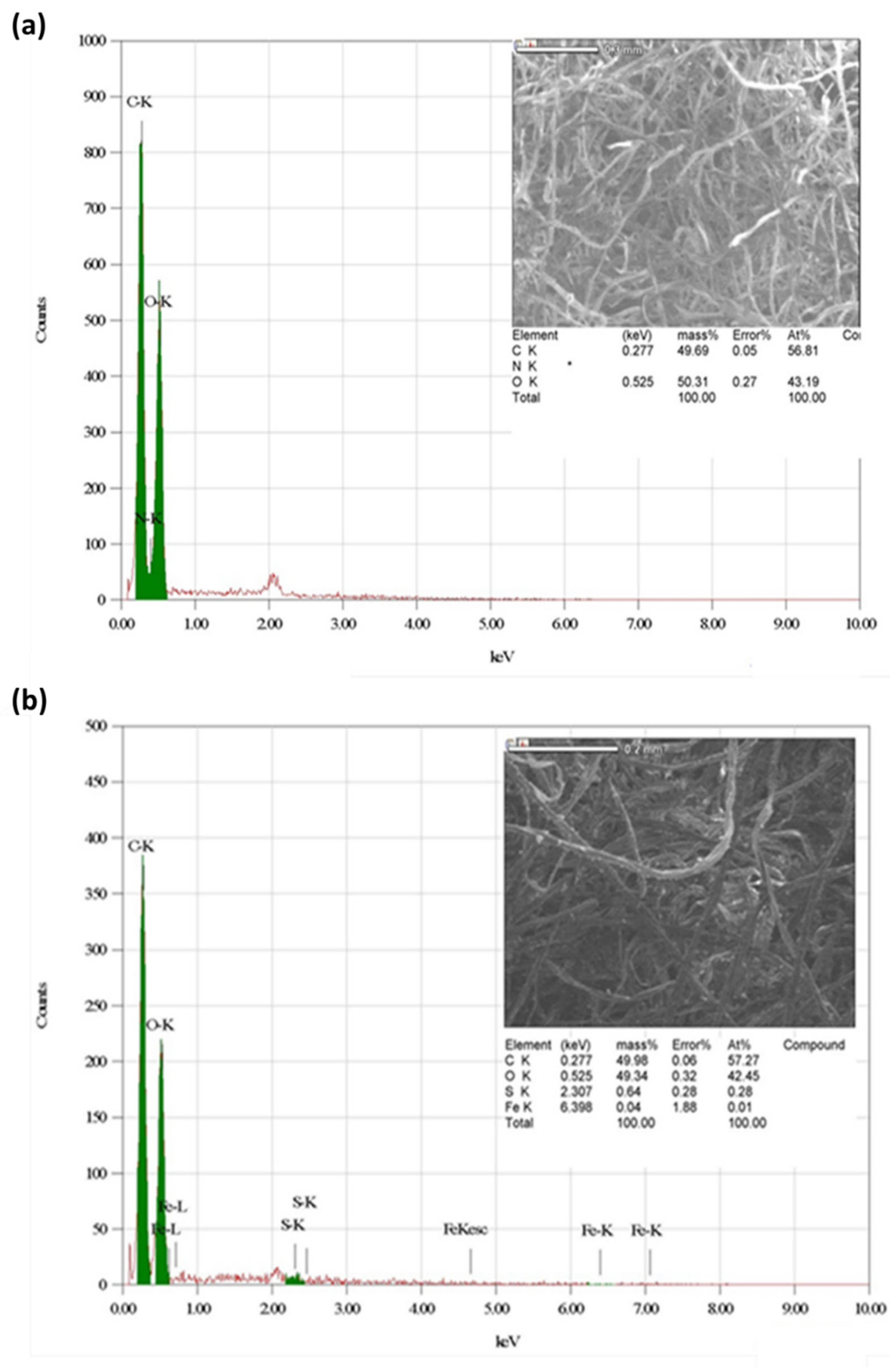 Coatings 13 01601 g006