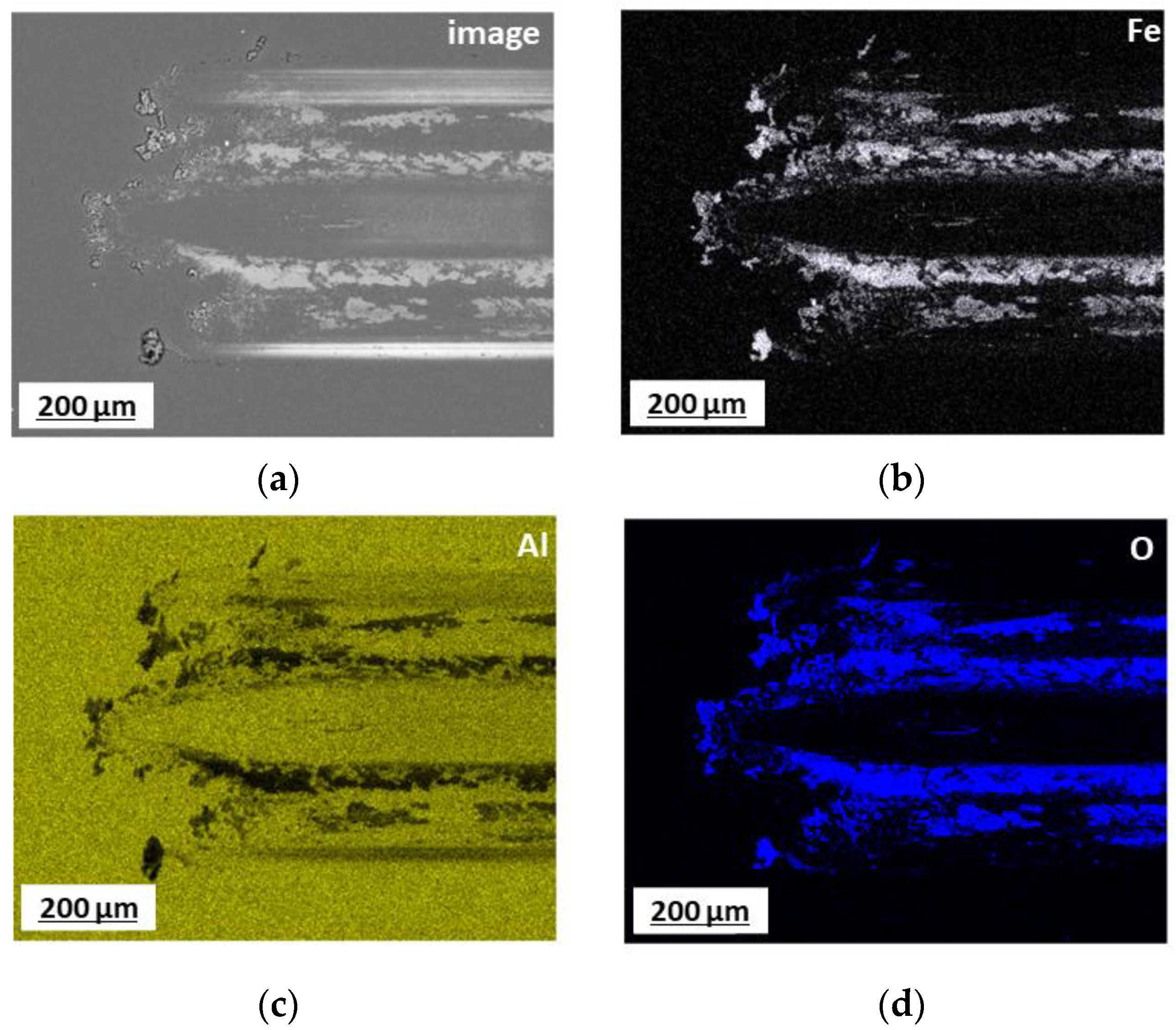 Coatings 13 01603 g005