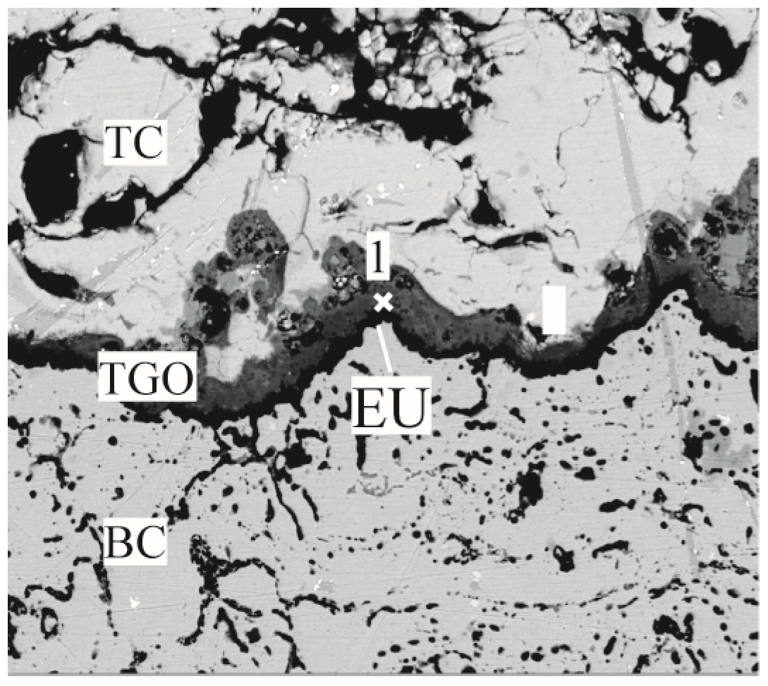 Coatings 13 01618 g011