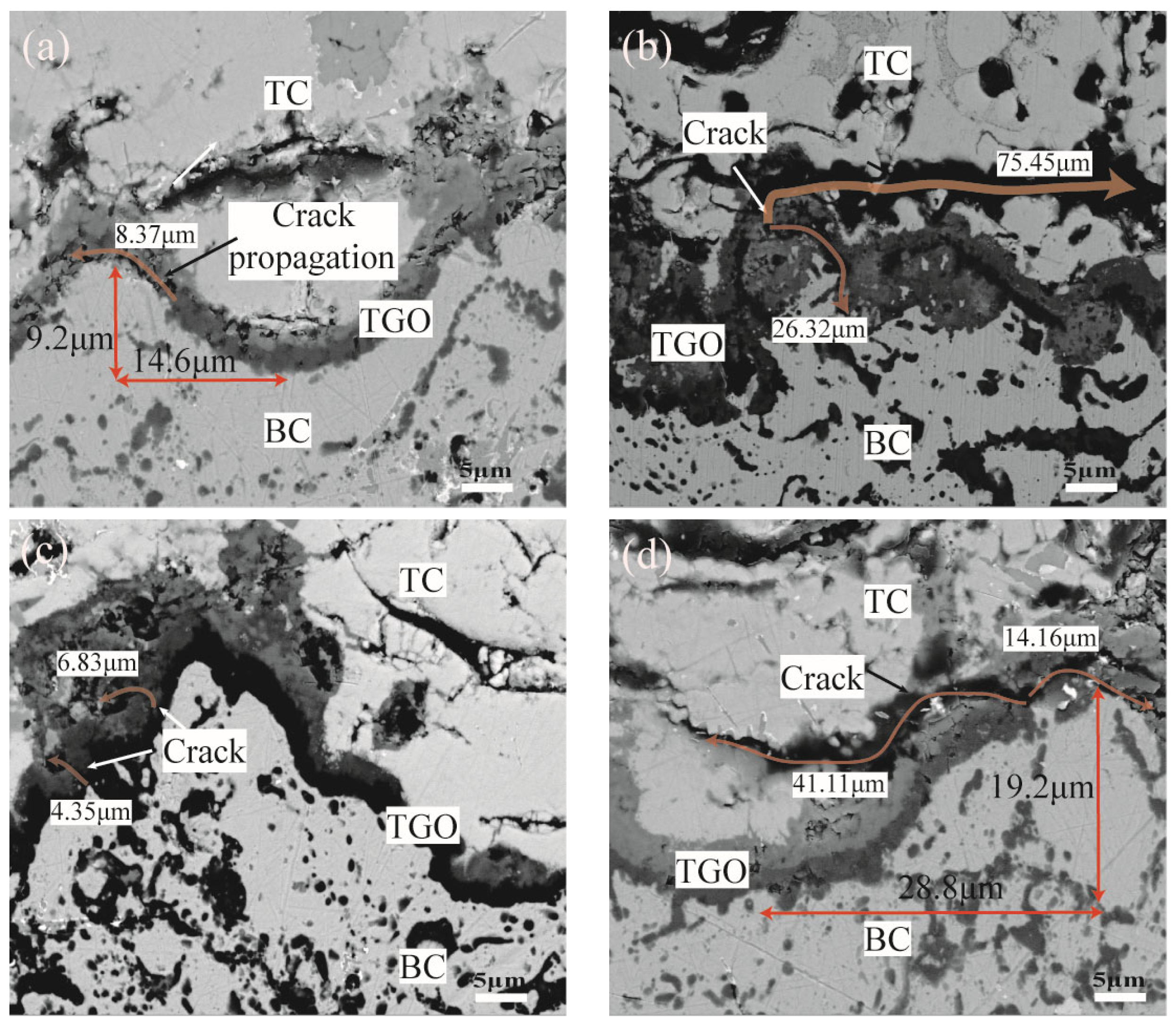 Coatings 13 01618 g020