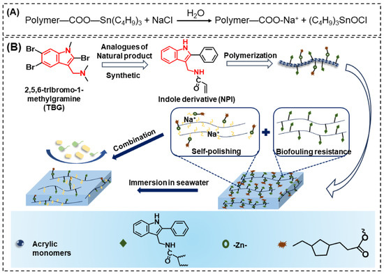 Coatings 13 01619 g003