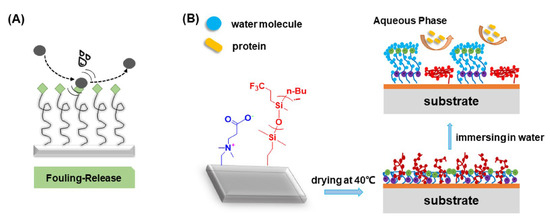 Coatings 13 01619 g004