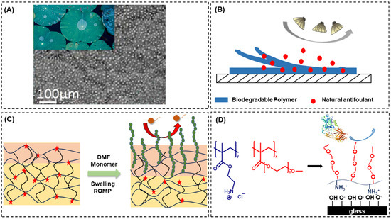 Coatings 13 01619 g005