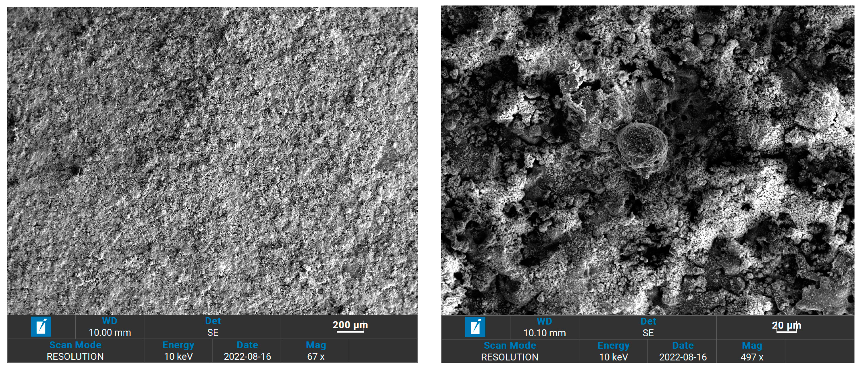 Coatings 13 01620 g008a