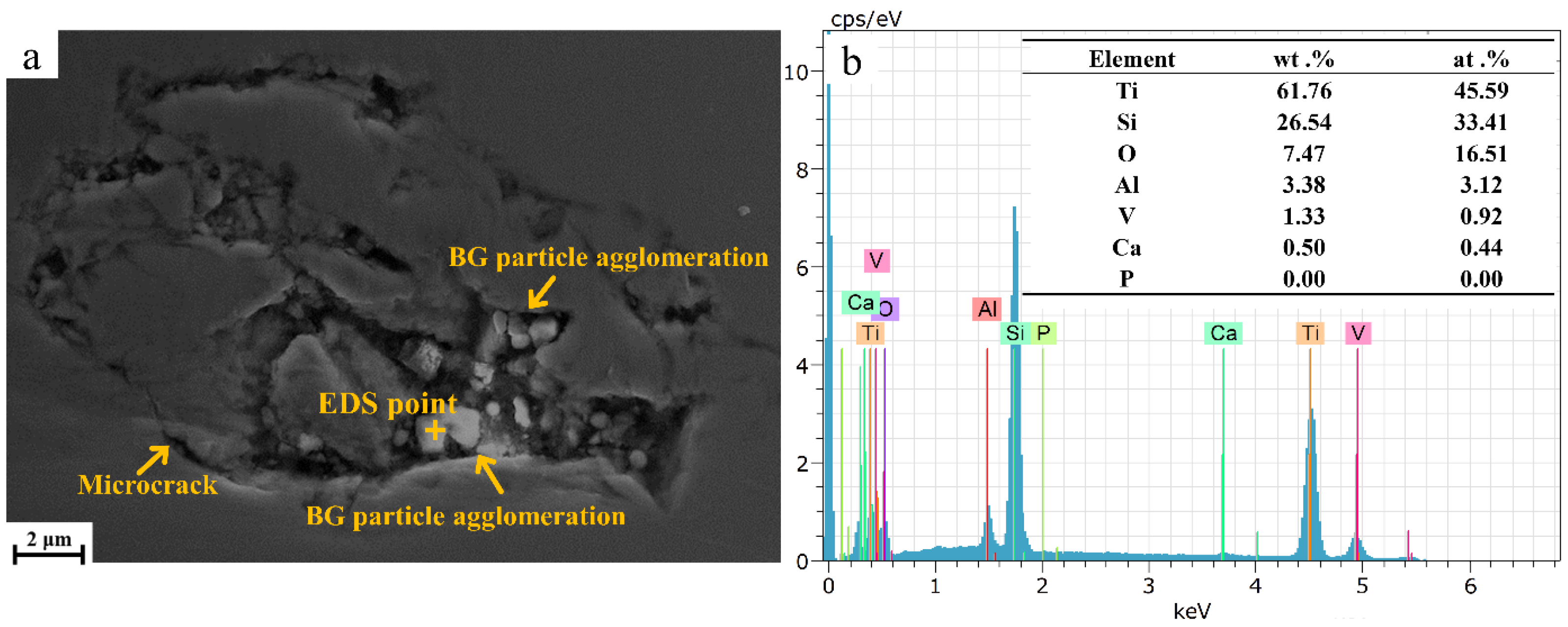 Coatings 13 01621 g002