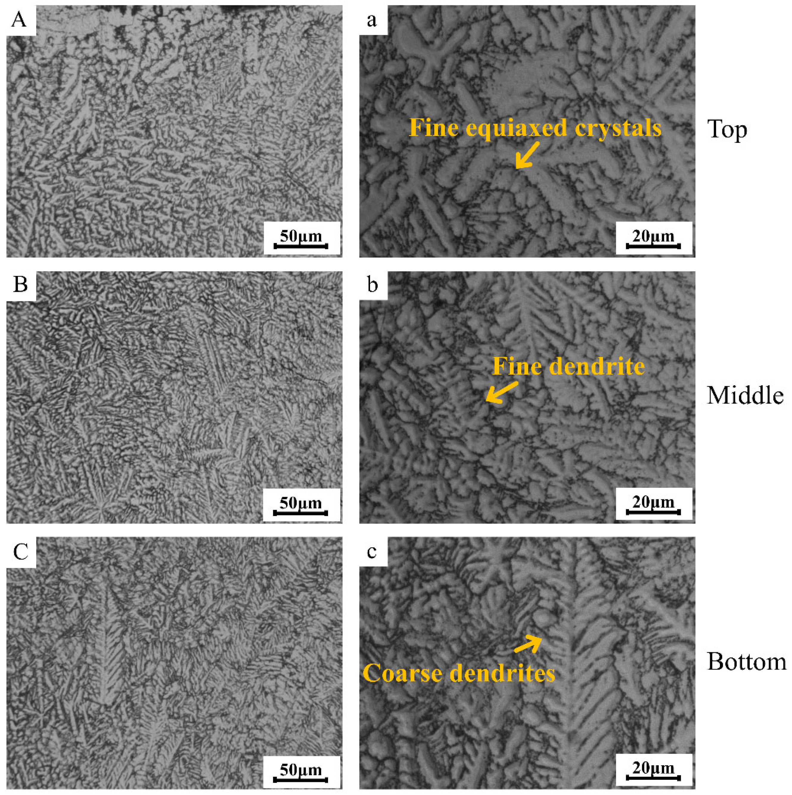 Coatings 13 01621 g003
