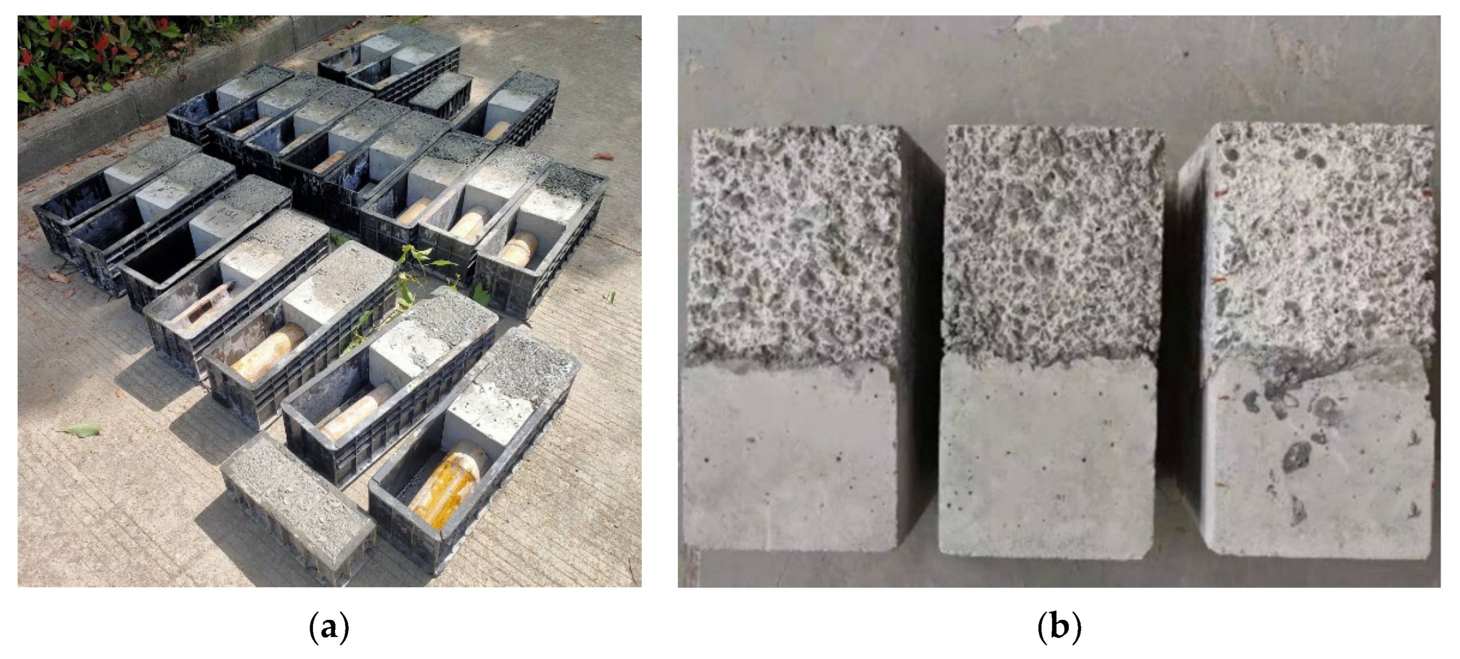 Coatings 13 01622 g003