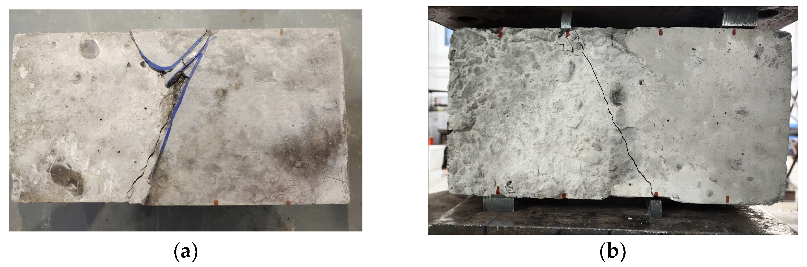 Coatings 13 01622 g005