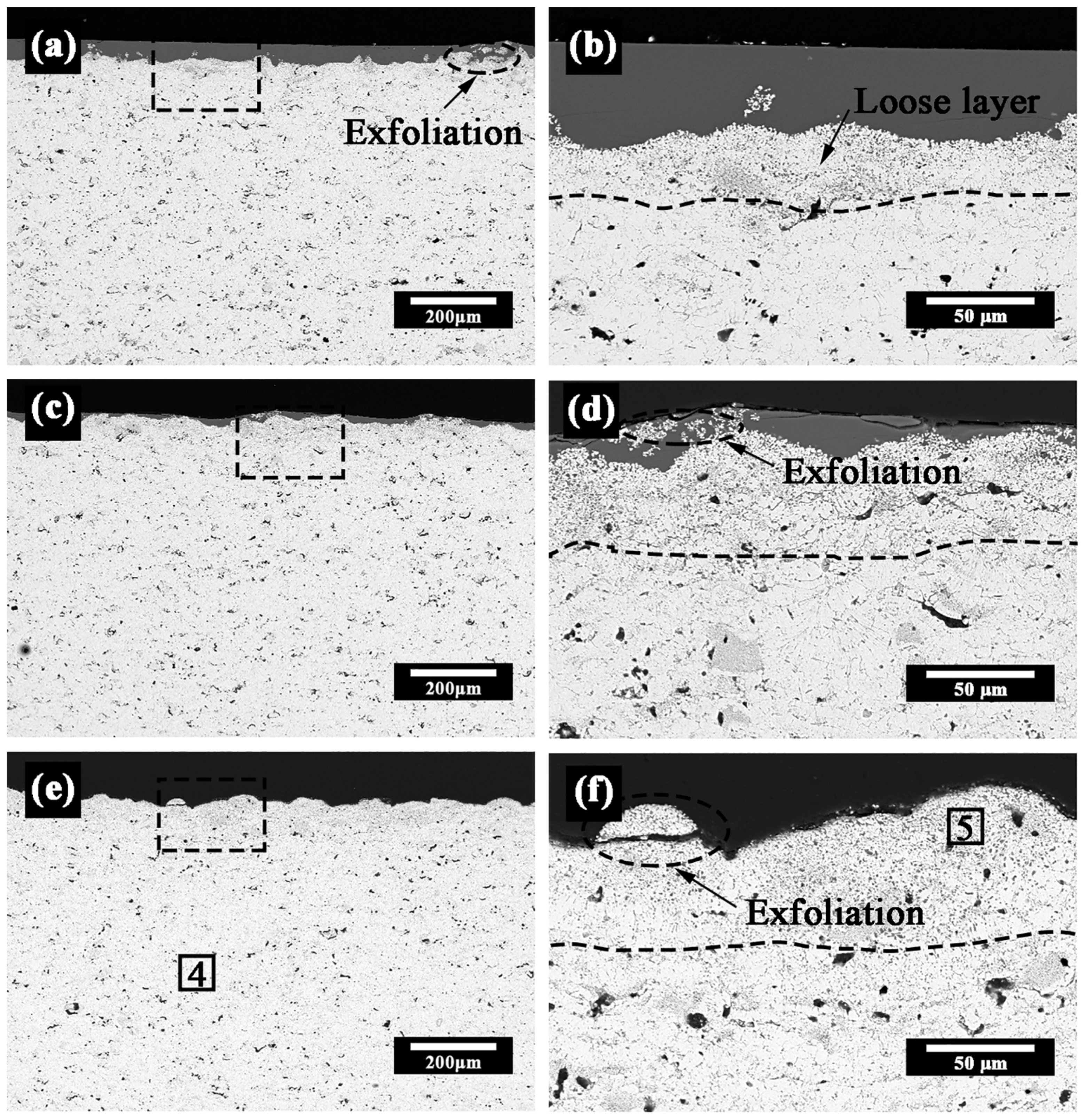 Coatings 13 01623 g007