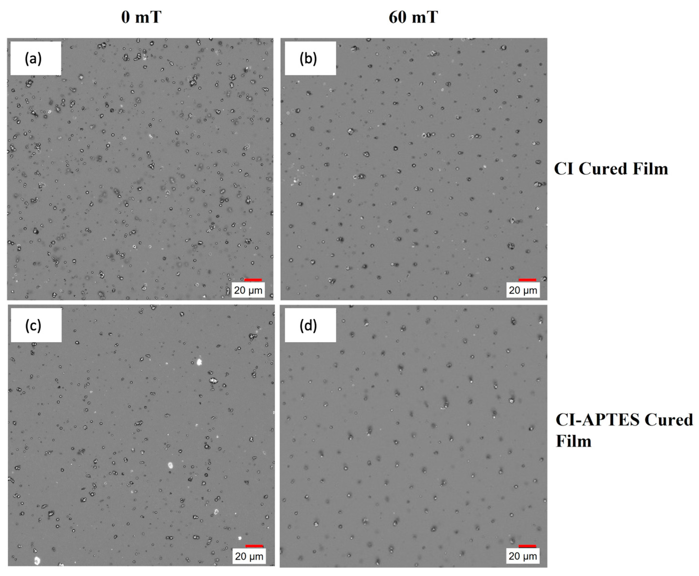 Coatings 13 01625 g012