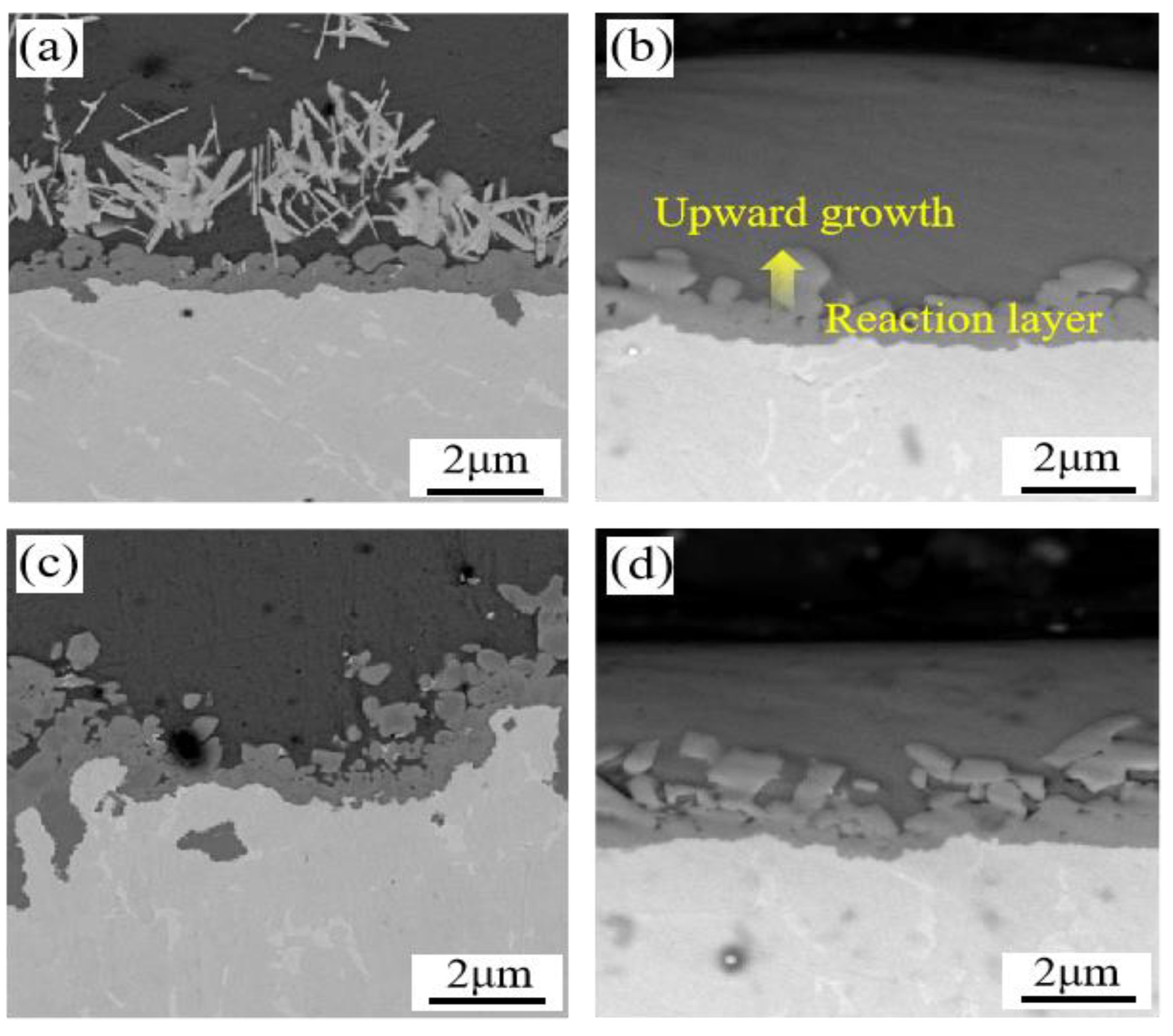 Coatings 13 01632 g007