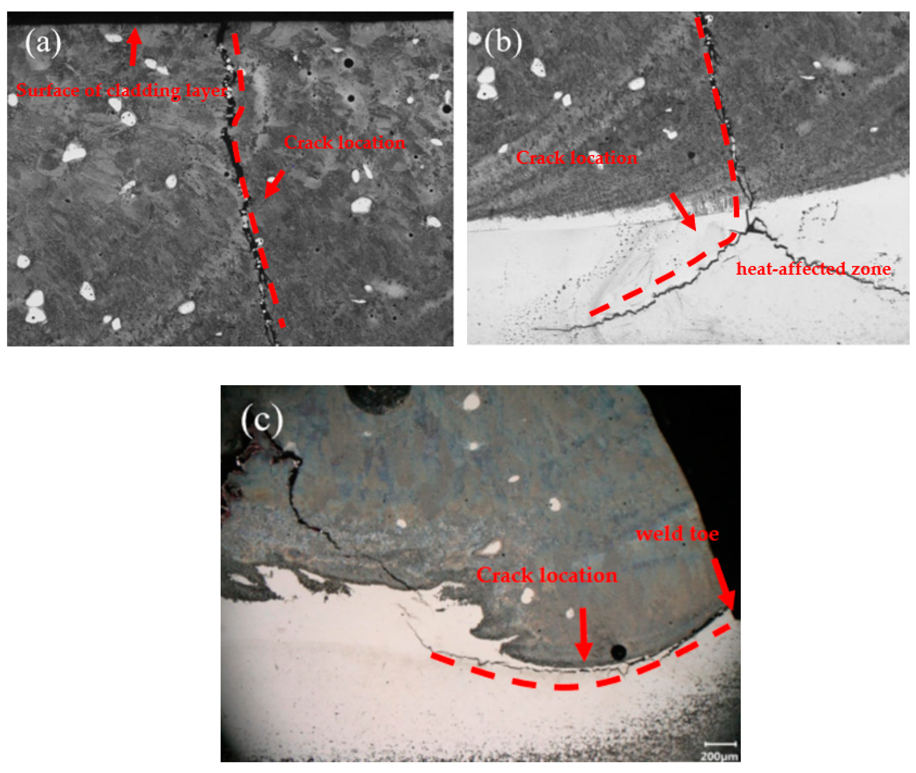Coatings 13 01636 g003